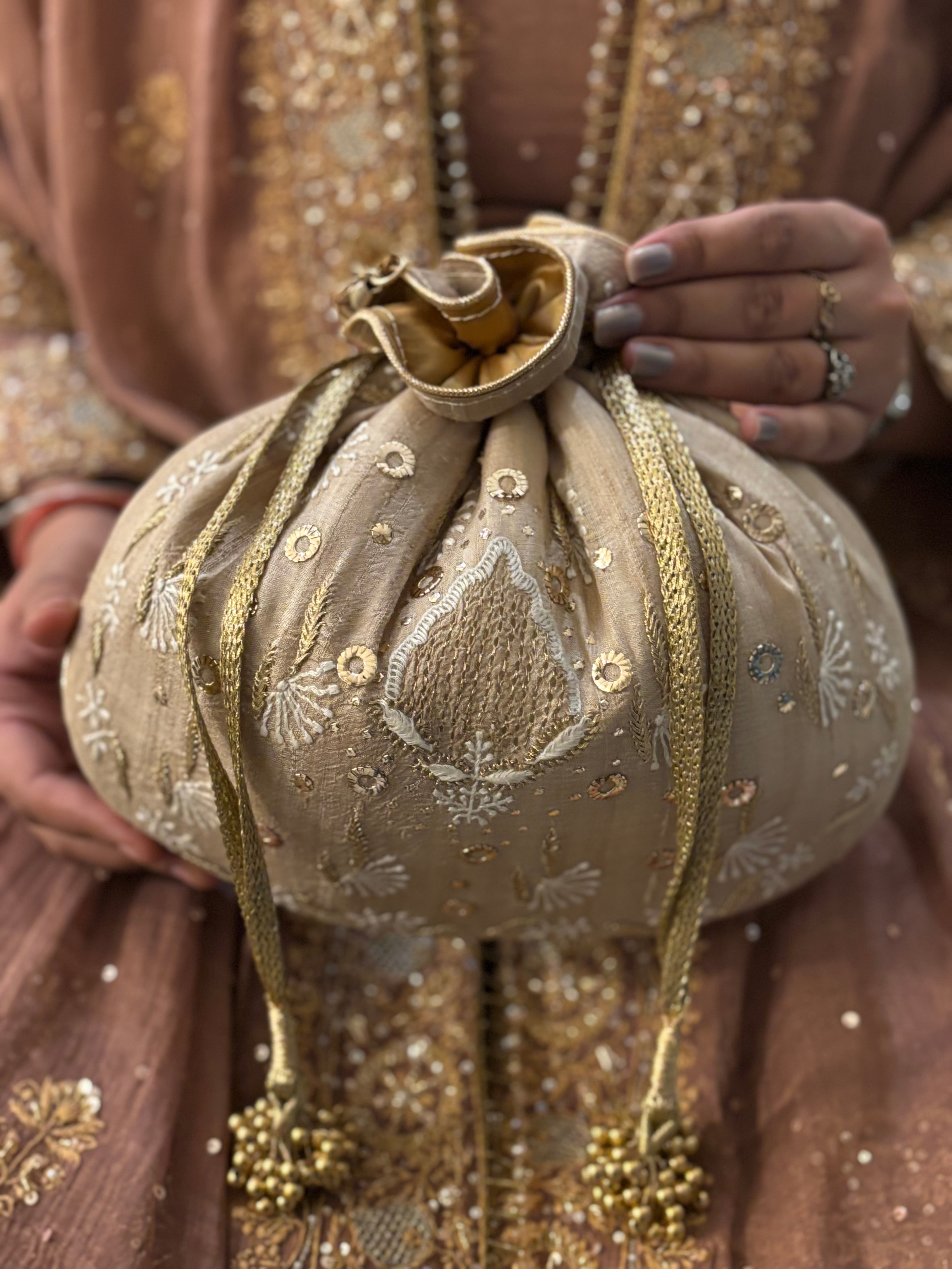 Beige Chikankari and Mukaish Batua