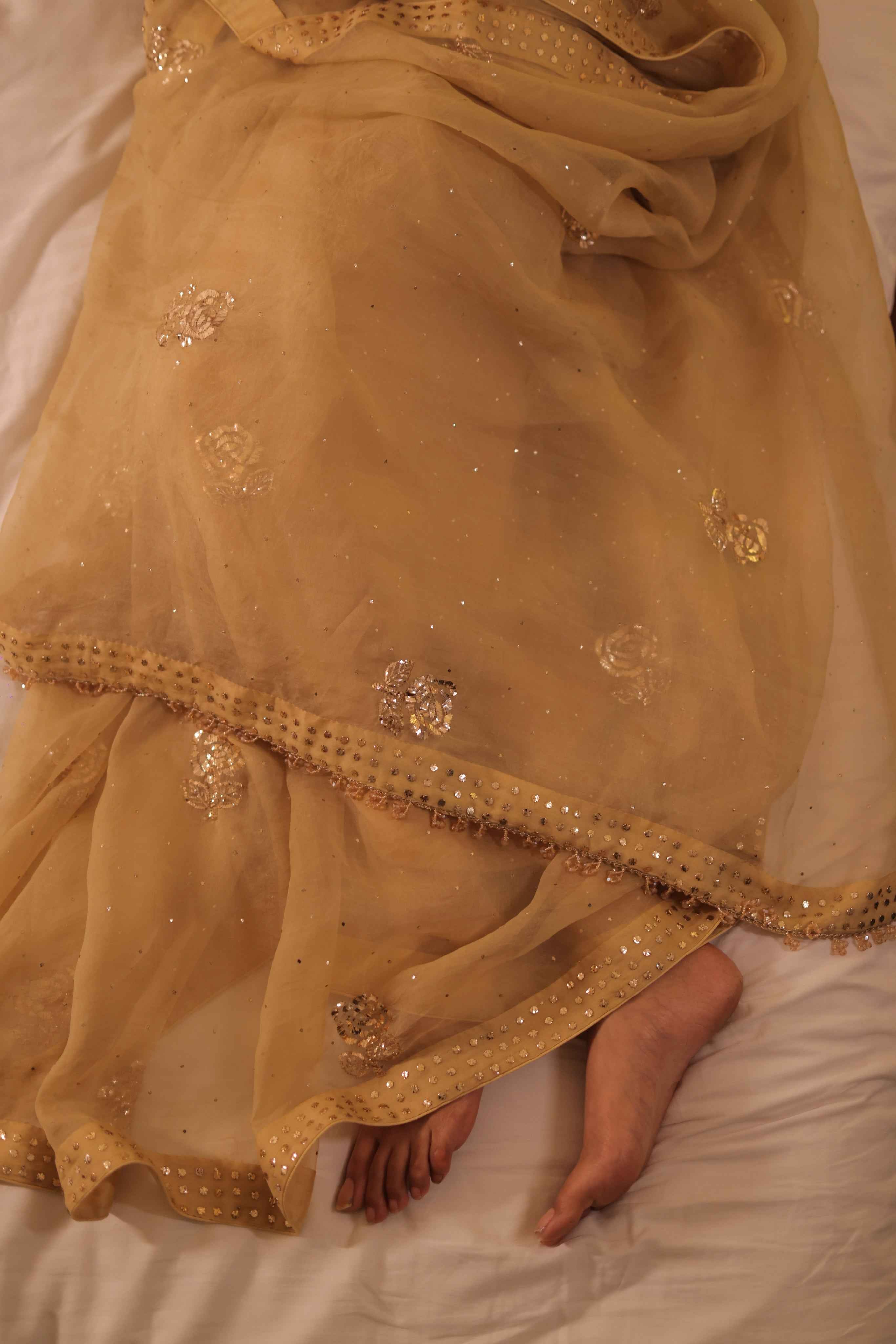 Handcrafted Pure & Premium Golden Sand Organza Mukaish Saree