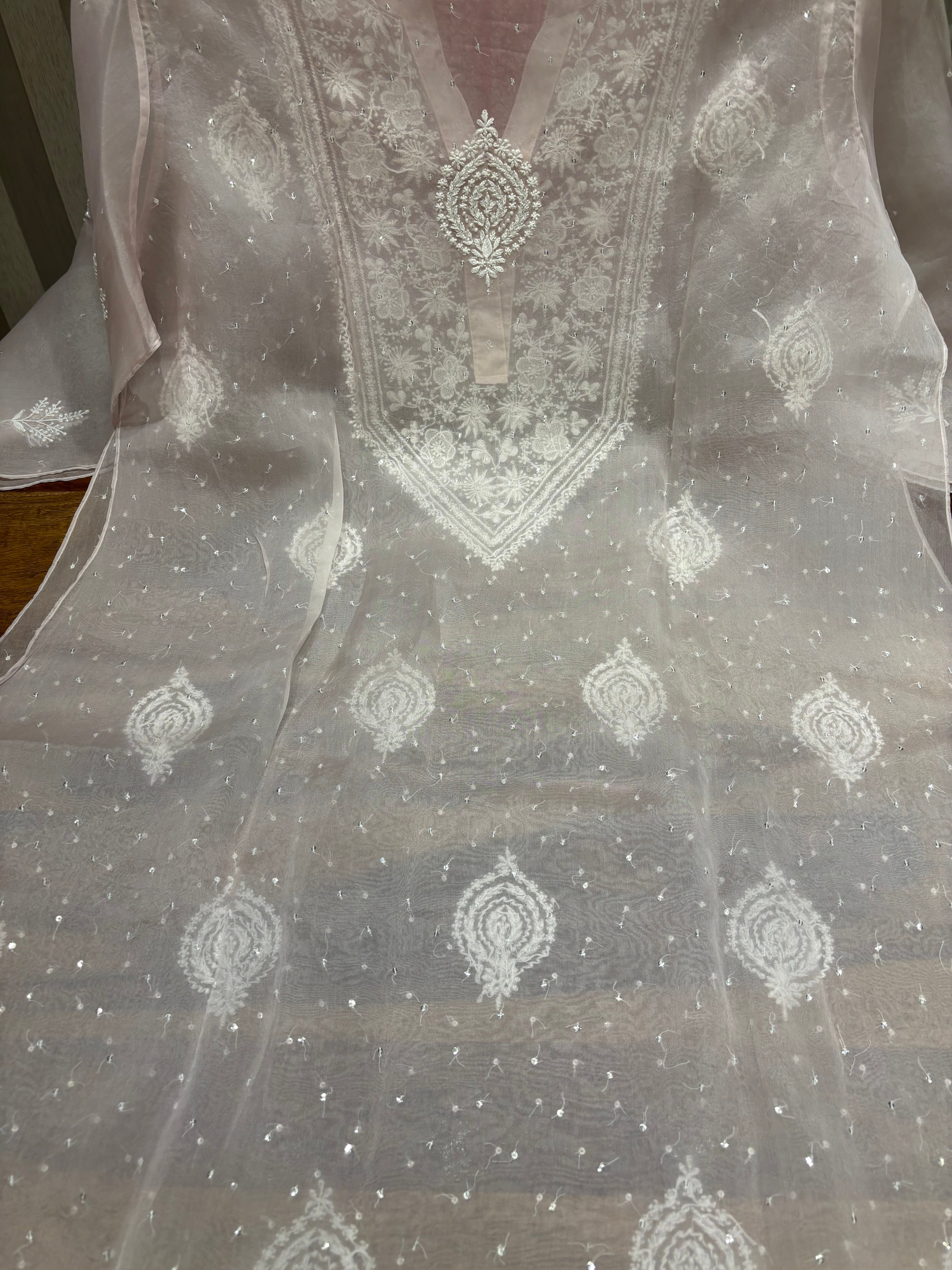 Soft Pink Organza Chikankari Co-ord Set