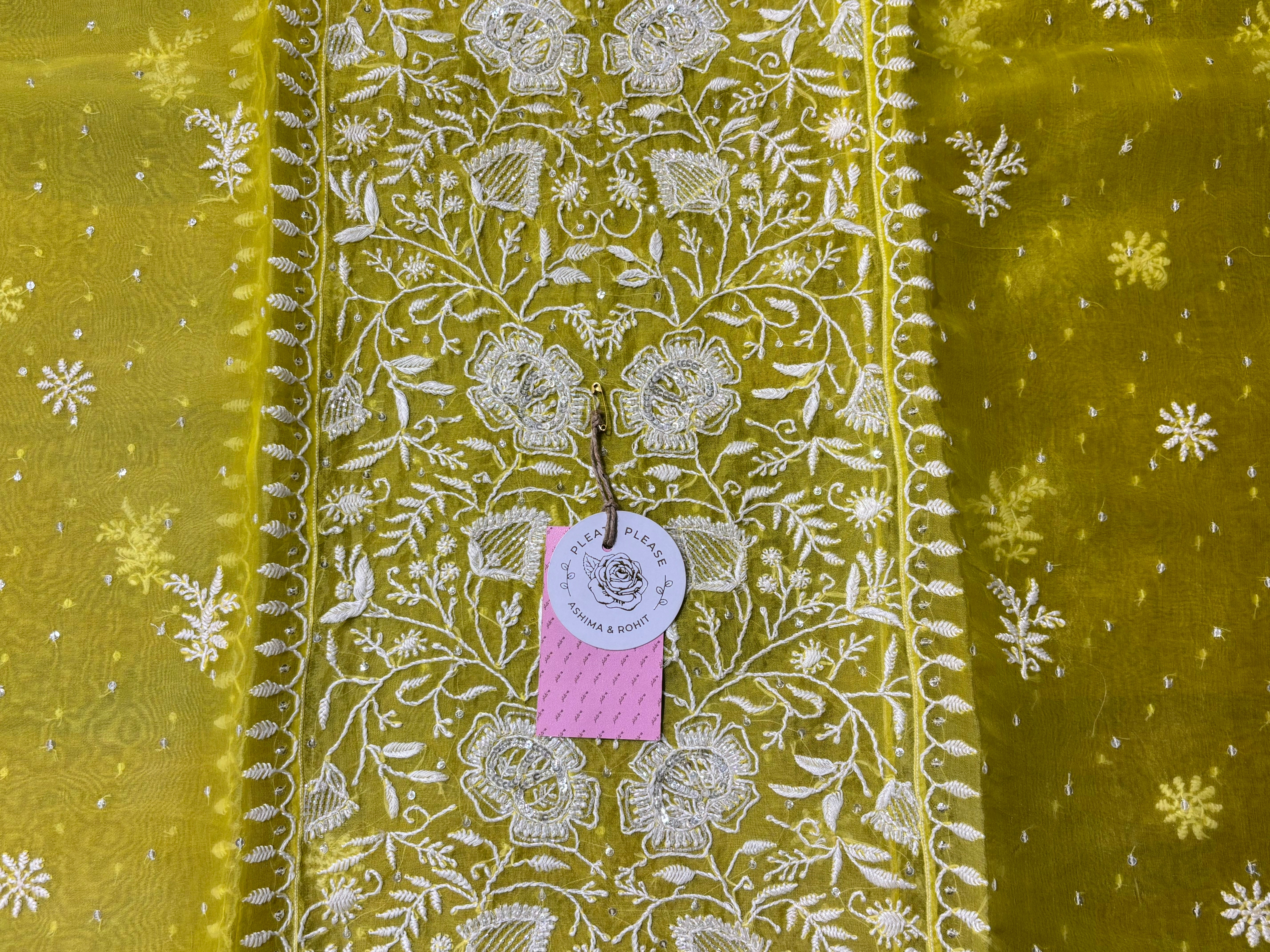 Neon Organza Silk Chikankari Kurta & Dupatta