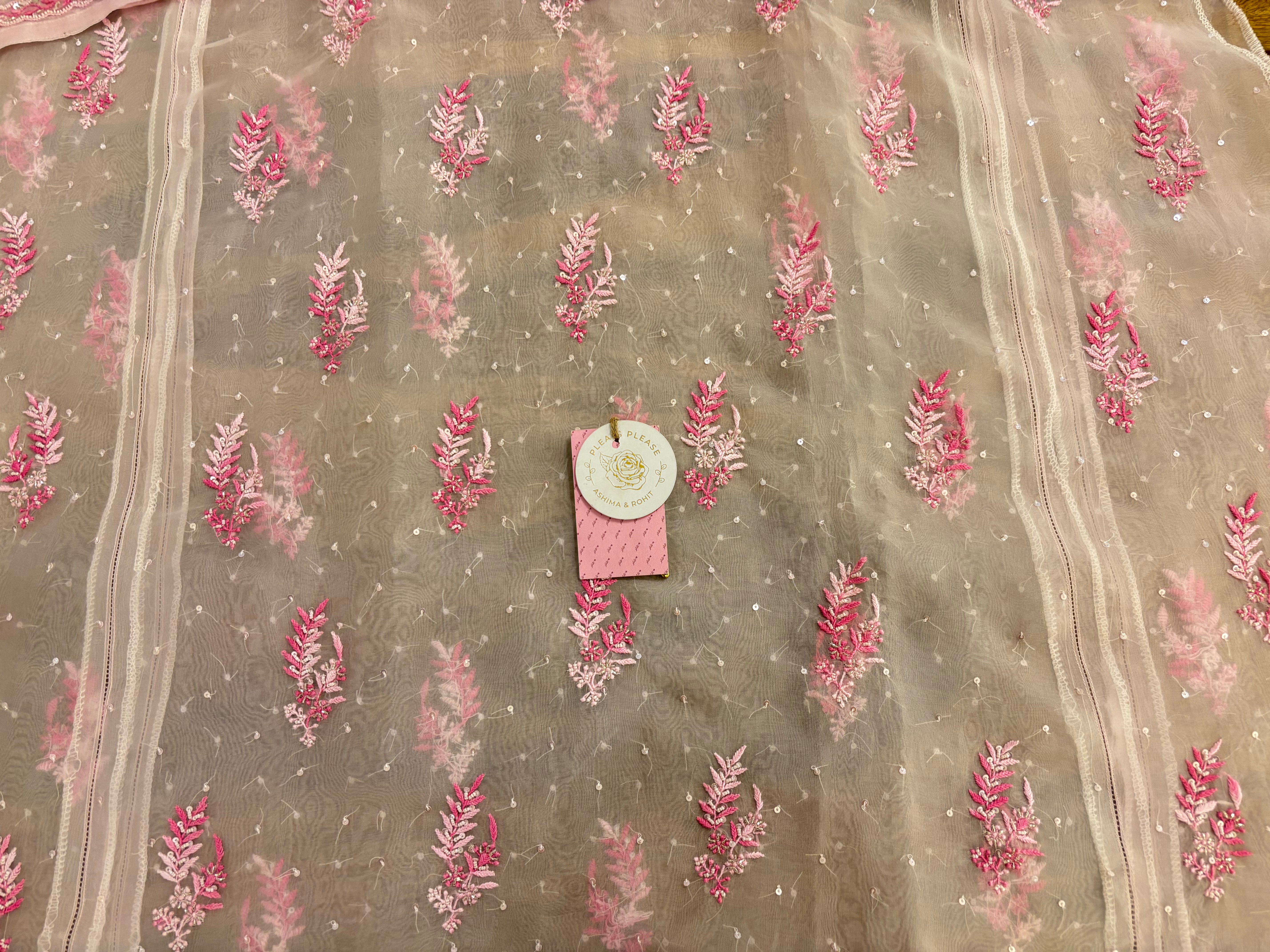 Baby Pink Organza Chikankari A-Line Kurta & Dupatta