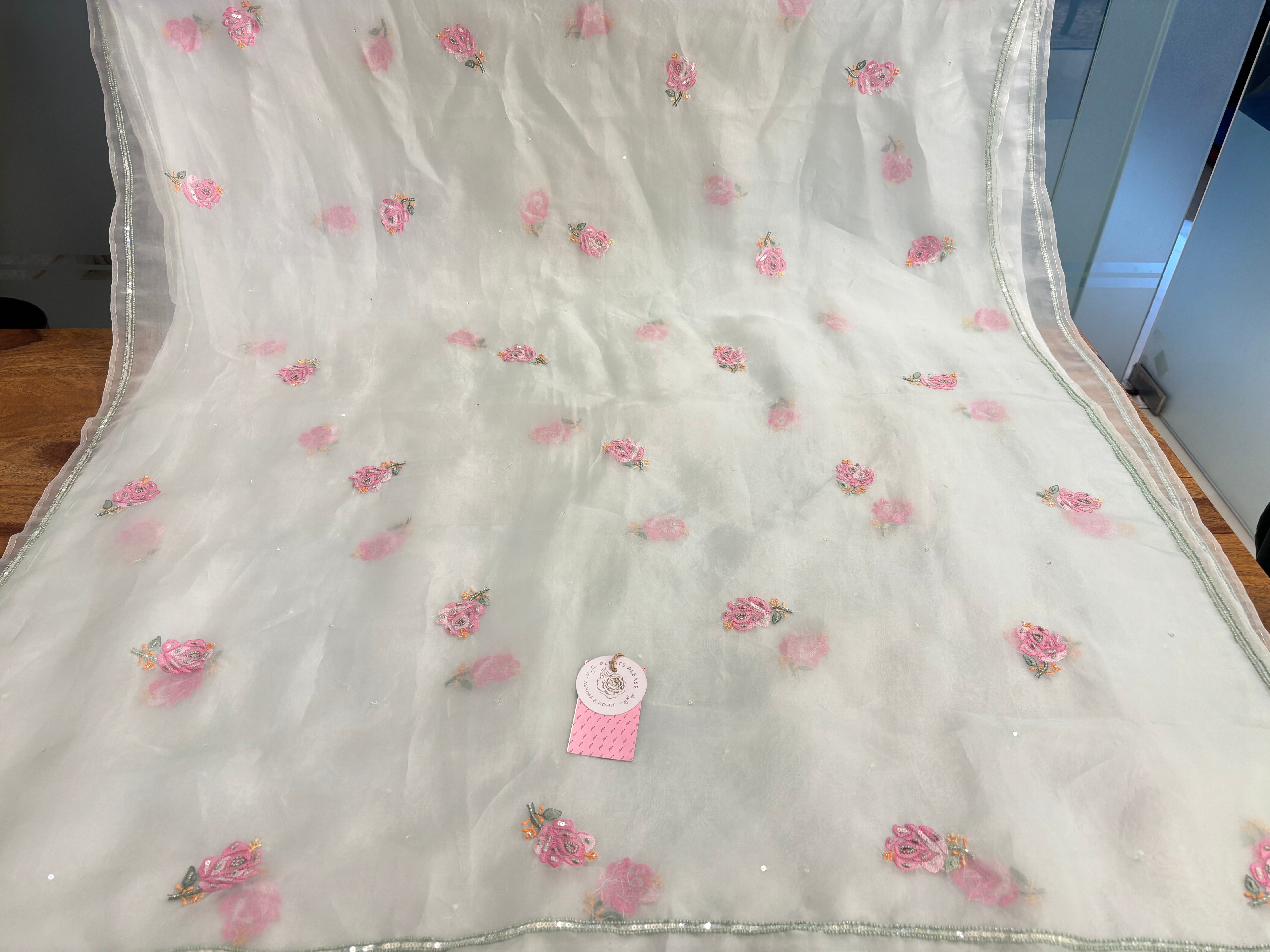 Ice Green Pure Organza Chikankari Kurta & Dupatta