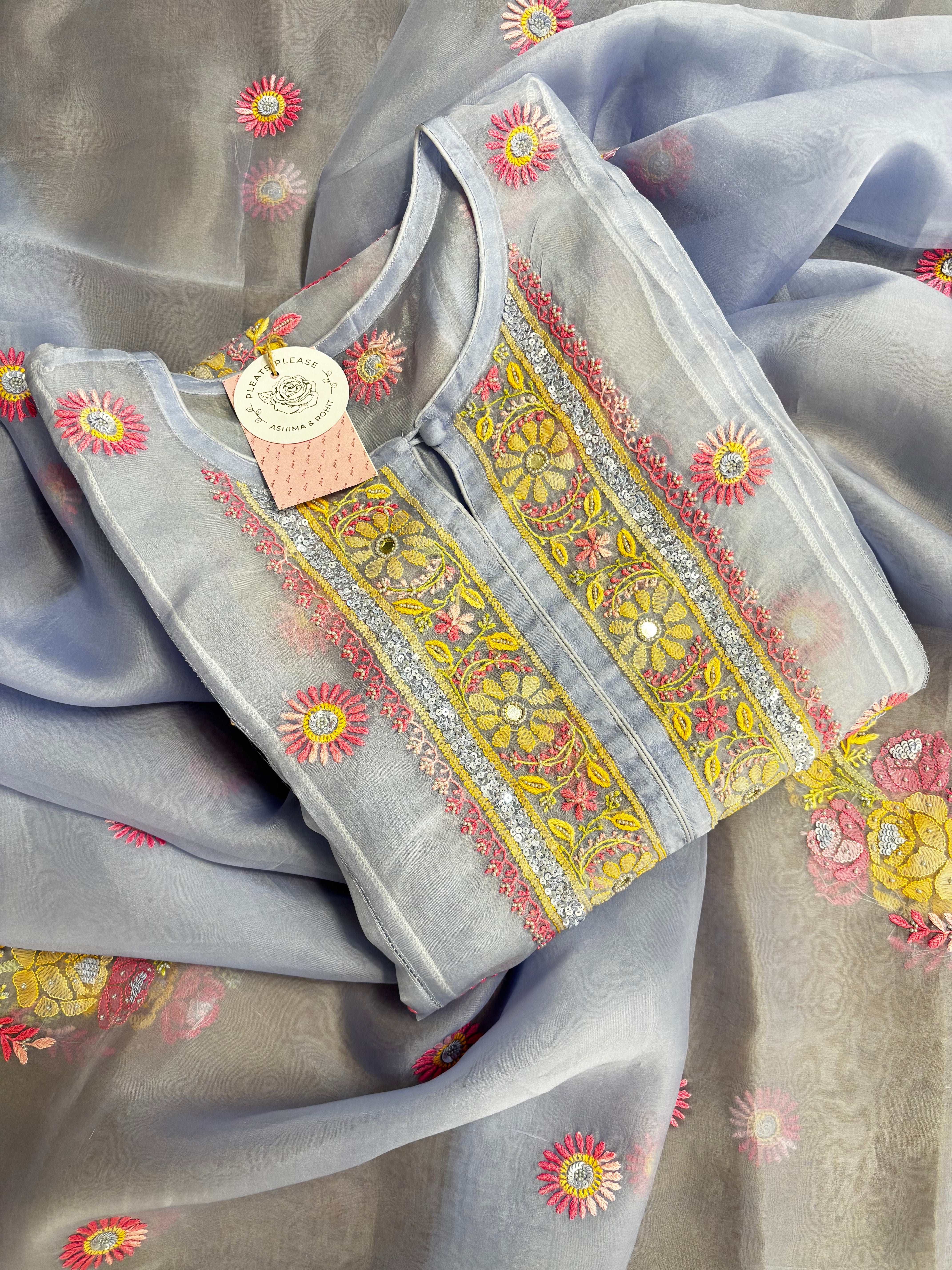 Powder Blue Pure Organza Chikankari Kurta & Dupatta