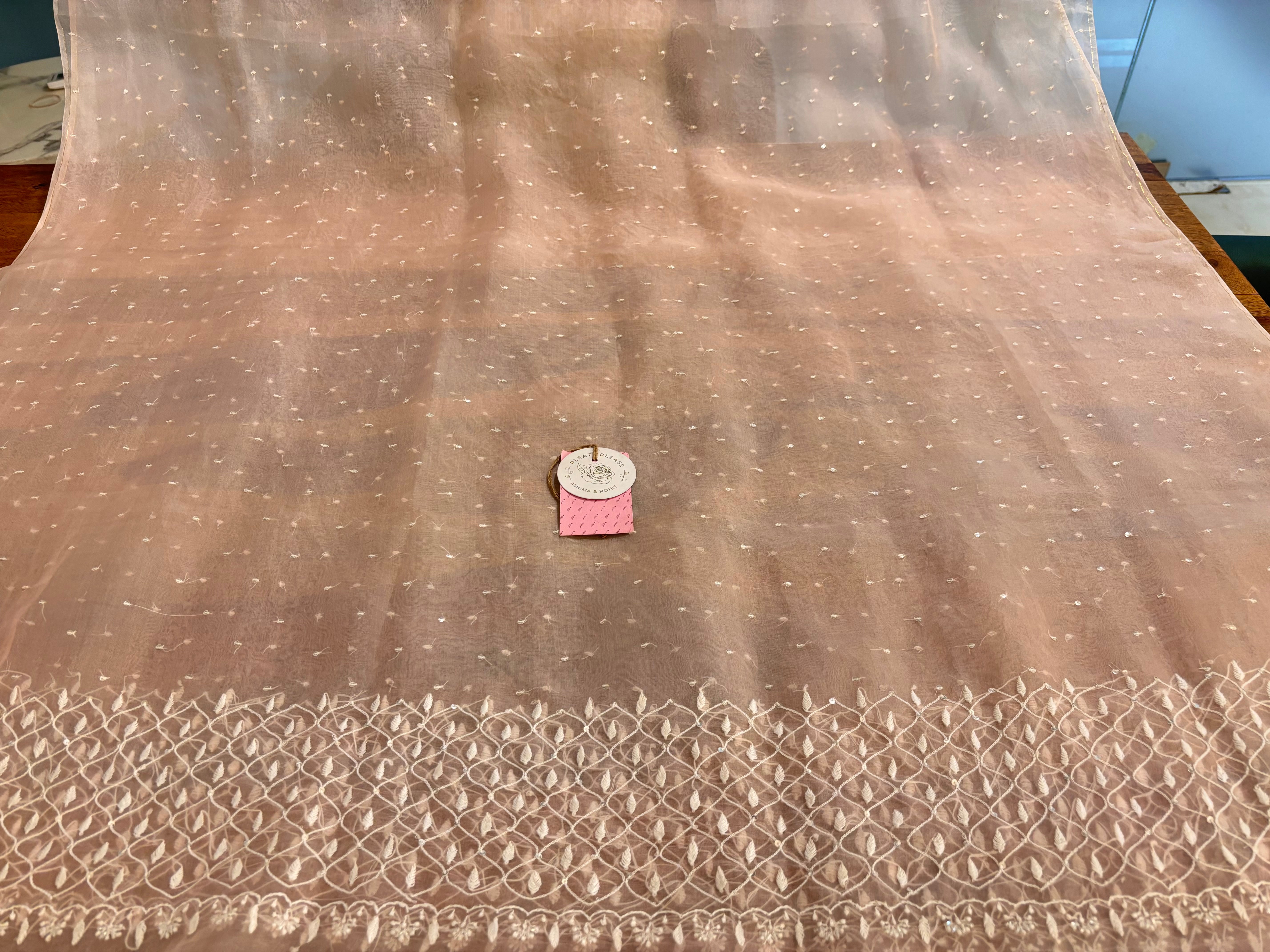 Baby Pink Organza Silk Chikankari Anarkali & Dupatta