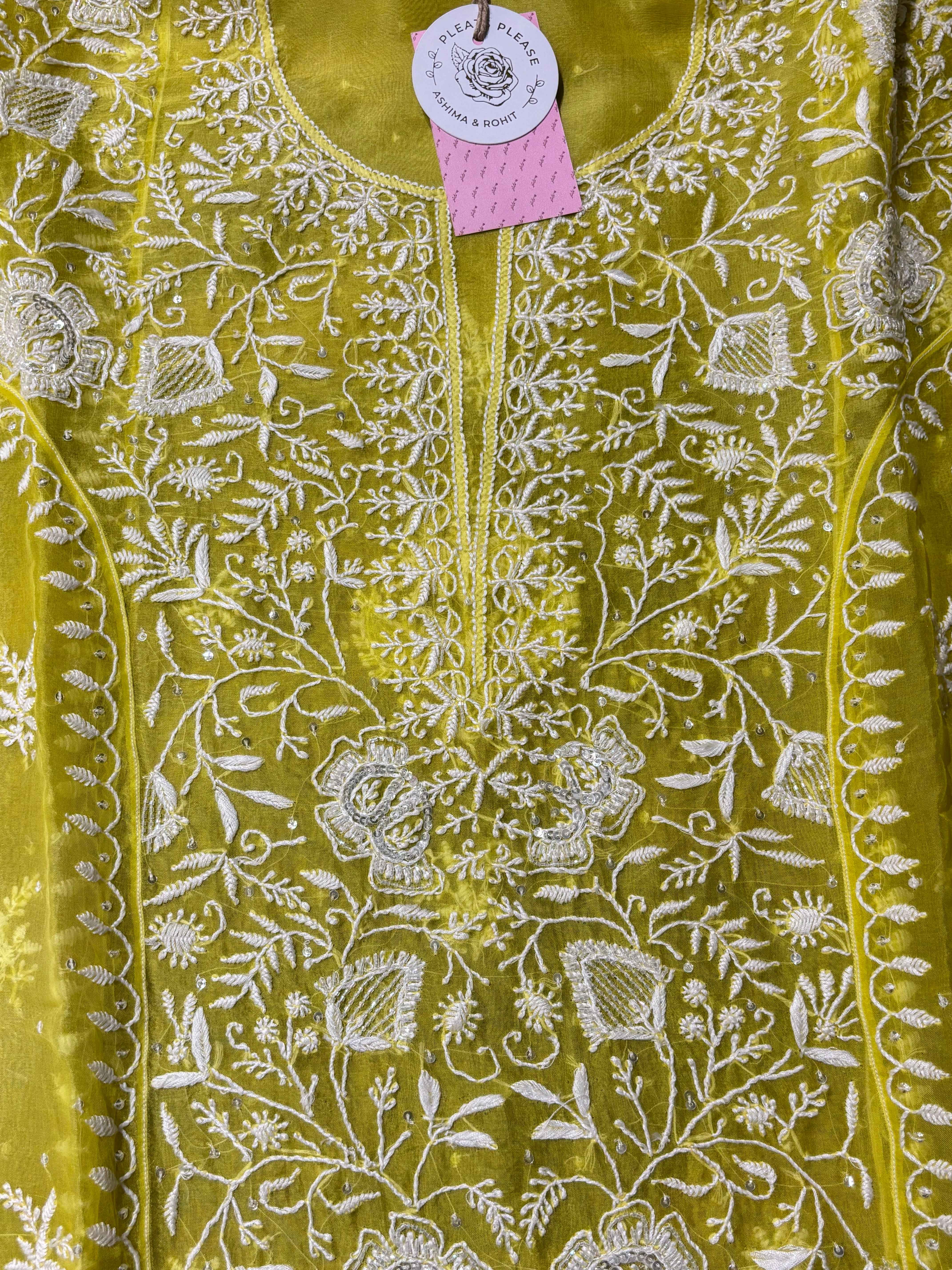 Neon Organza Silk Chikankari Kurta & Dupatta