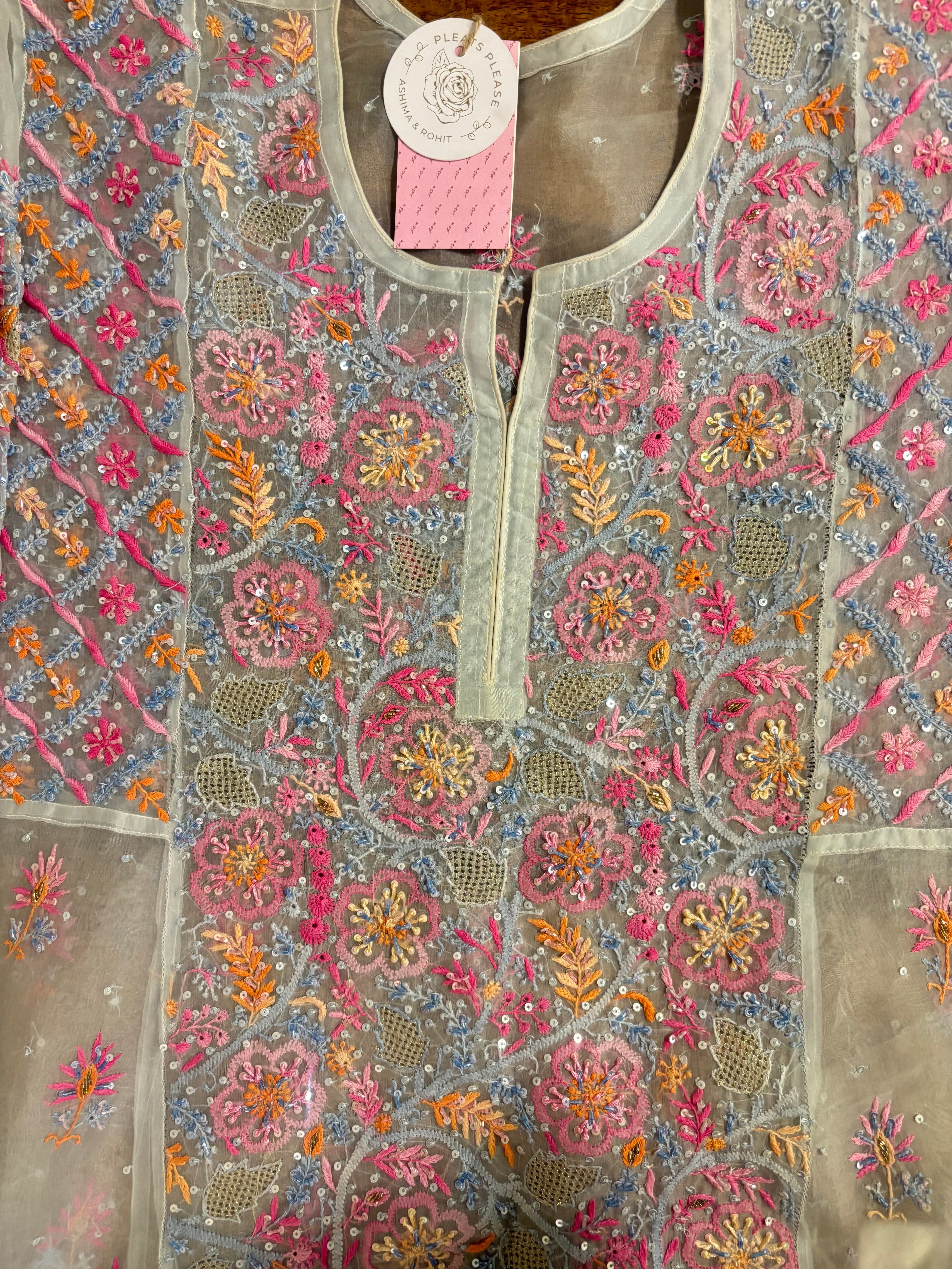 Powder Blue Pure Organza Chikankari Anarkali & Dupatta Set