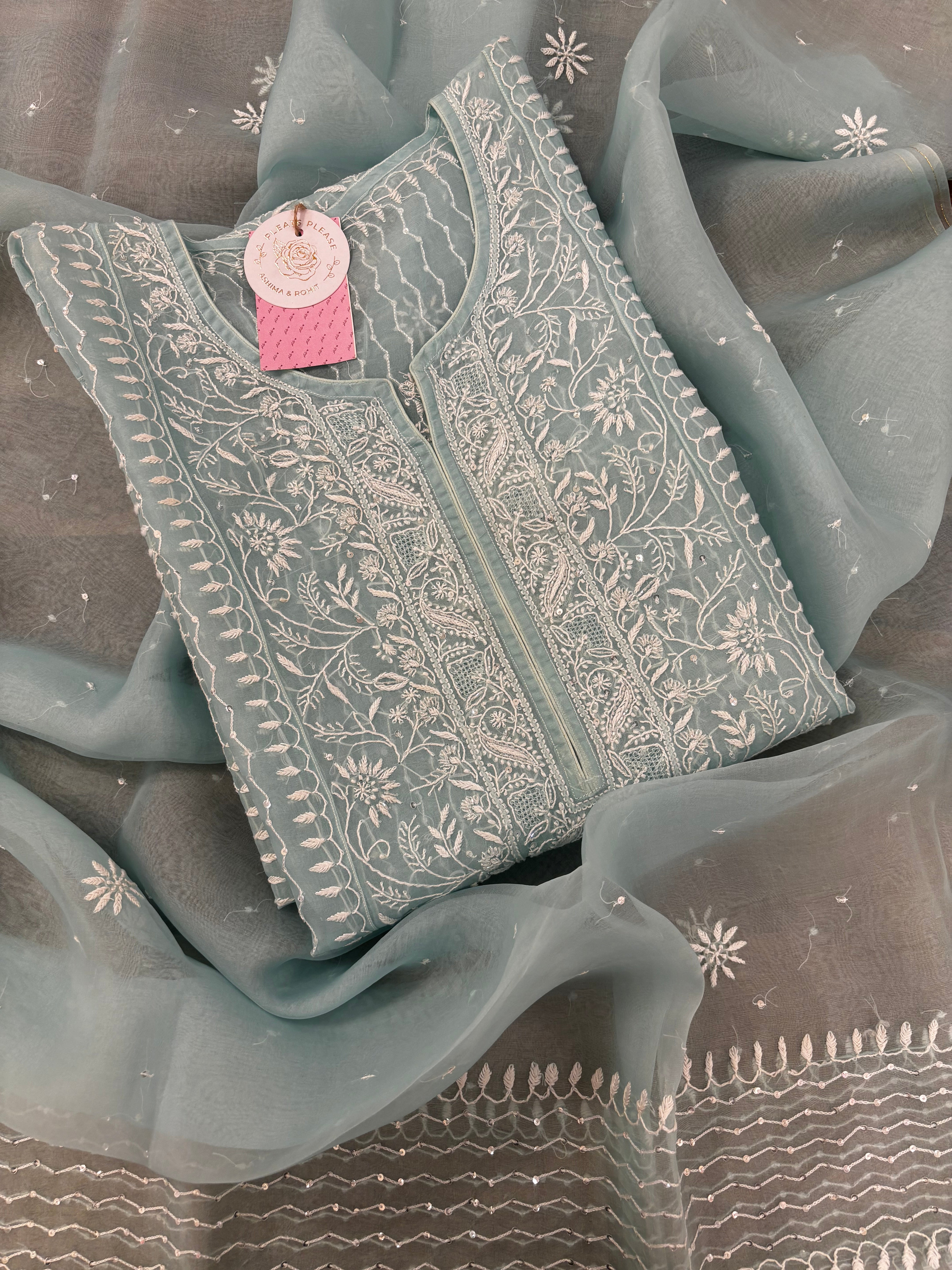 Mint Green Pure Organza Chikankari Kurta & Dupatta