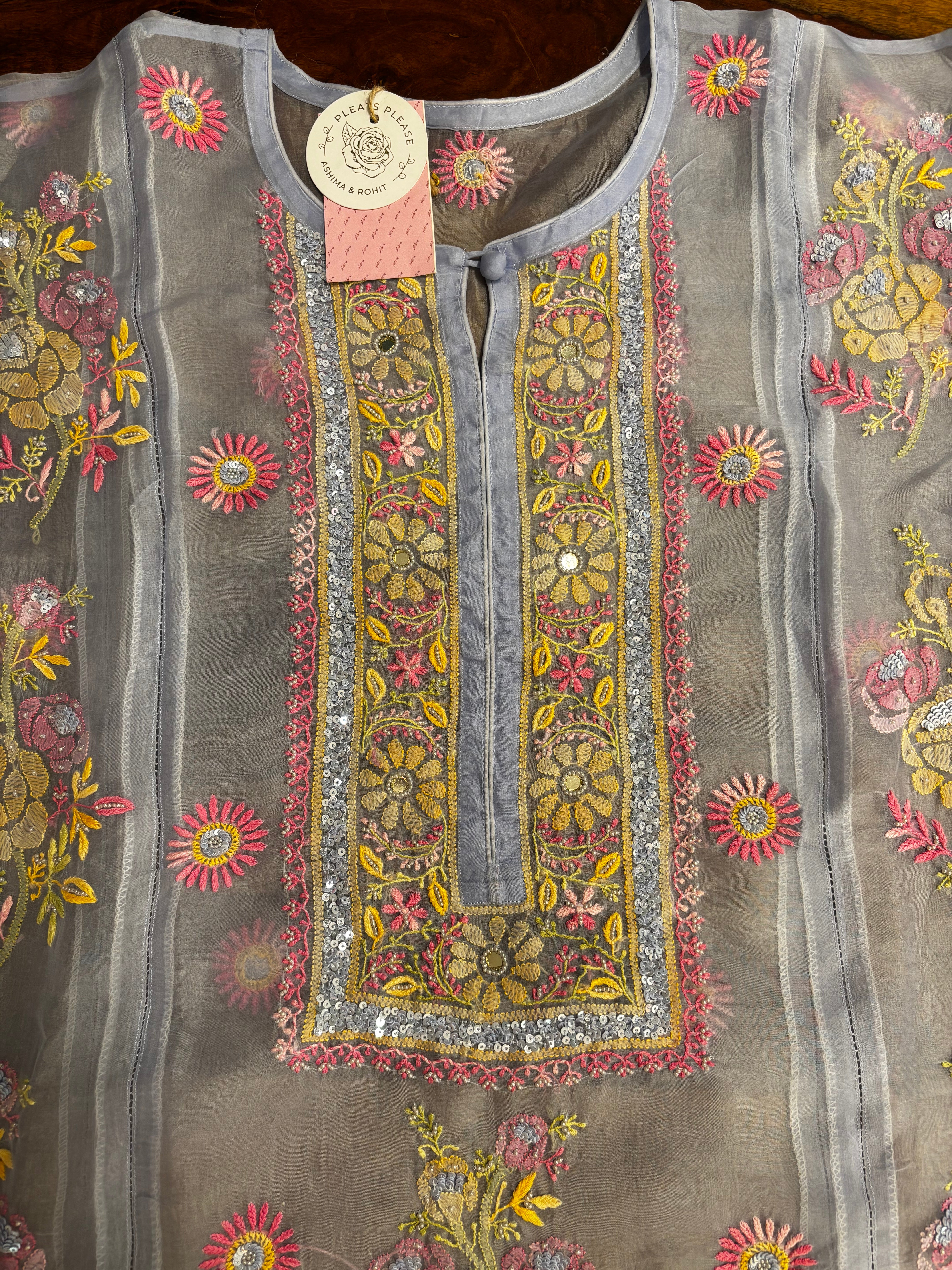 Powder Blue Pure Organza Chikankari Kurta & Dupatta