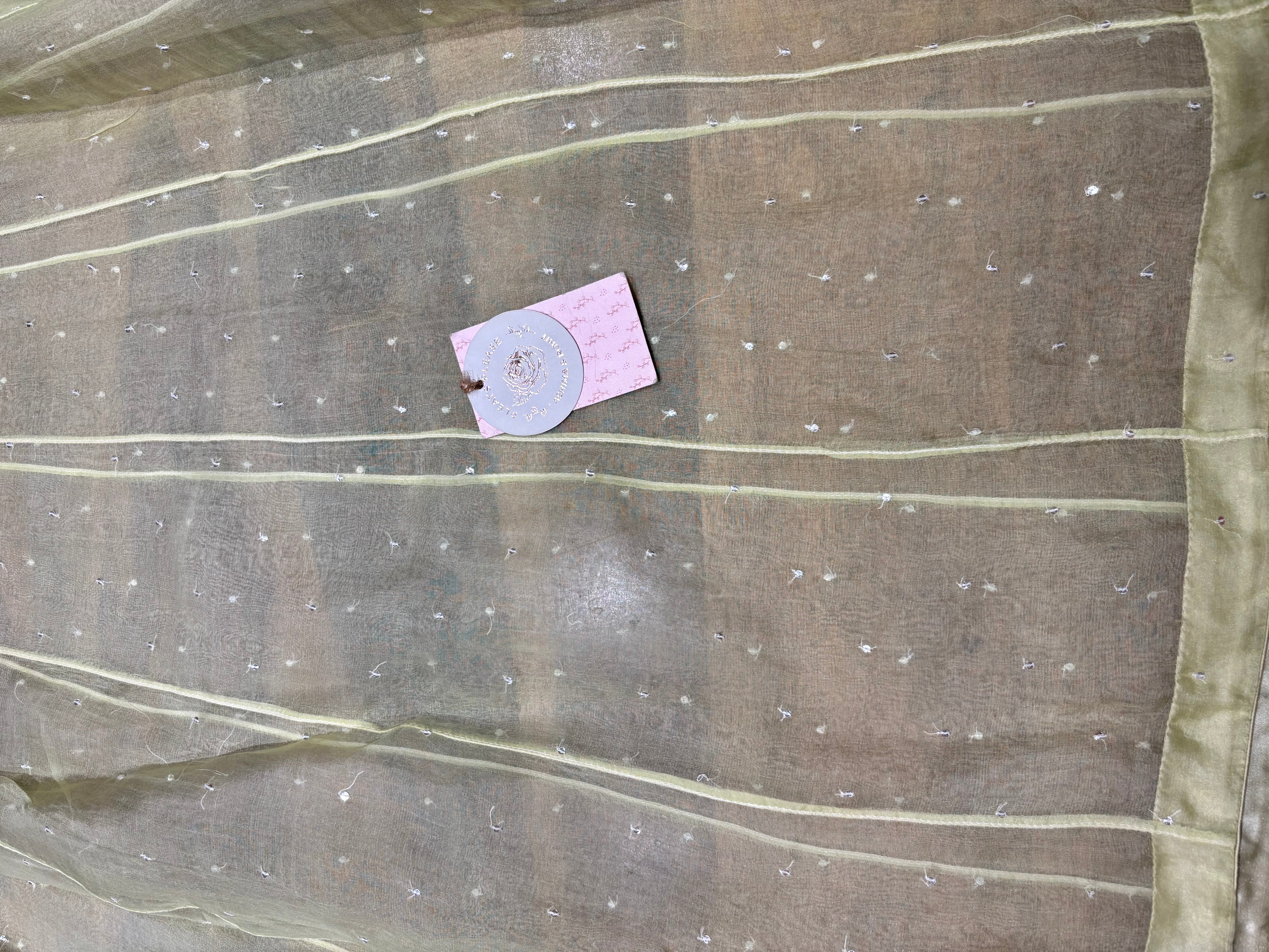 Green Organza Chikankari Anarkali & Dupatta Set