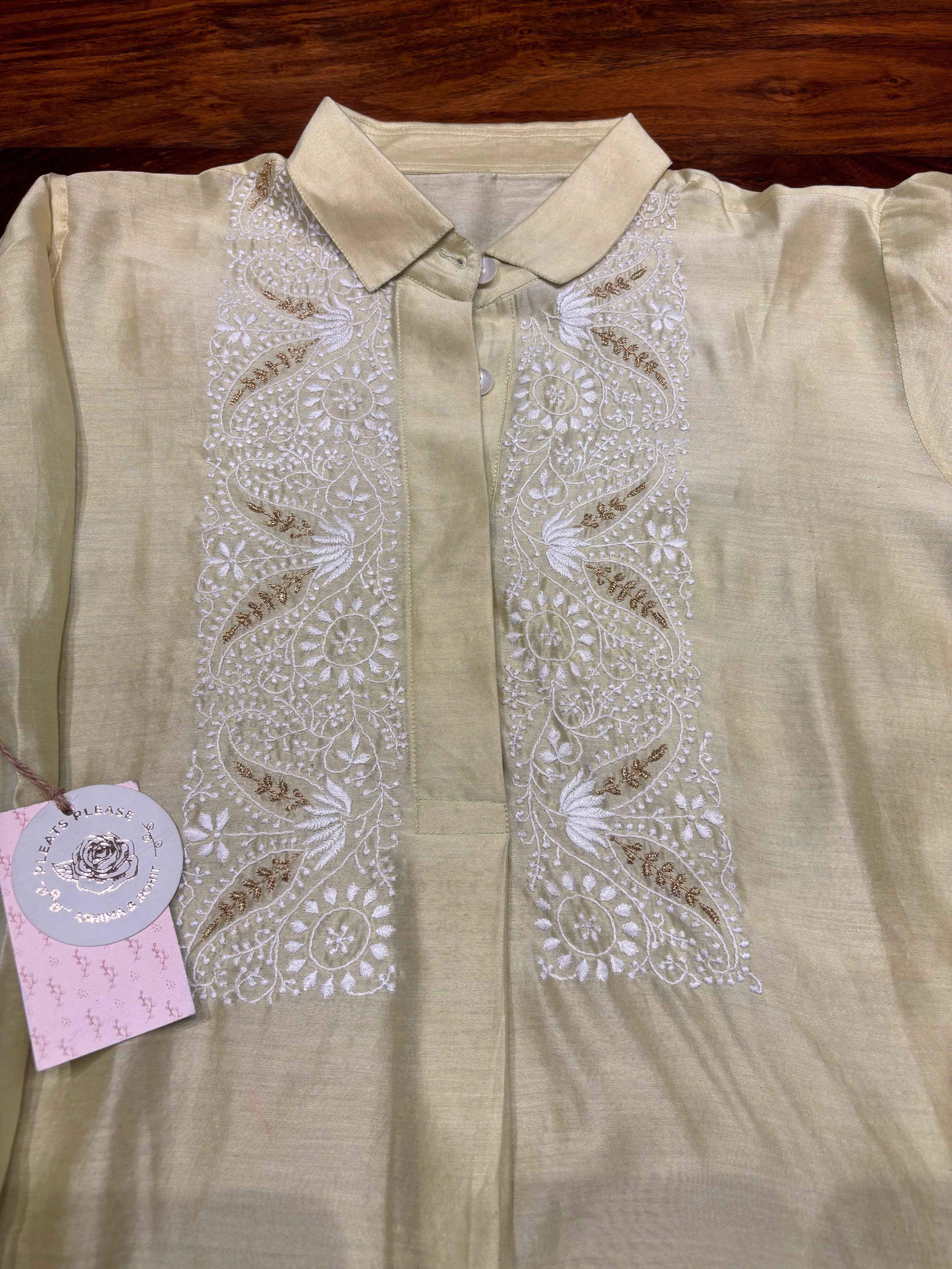 Pistachio Green Chanderi Silk chikankari Co-ord Set - Pleats PleaseChikankari