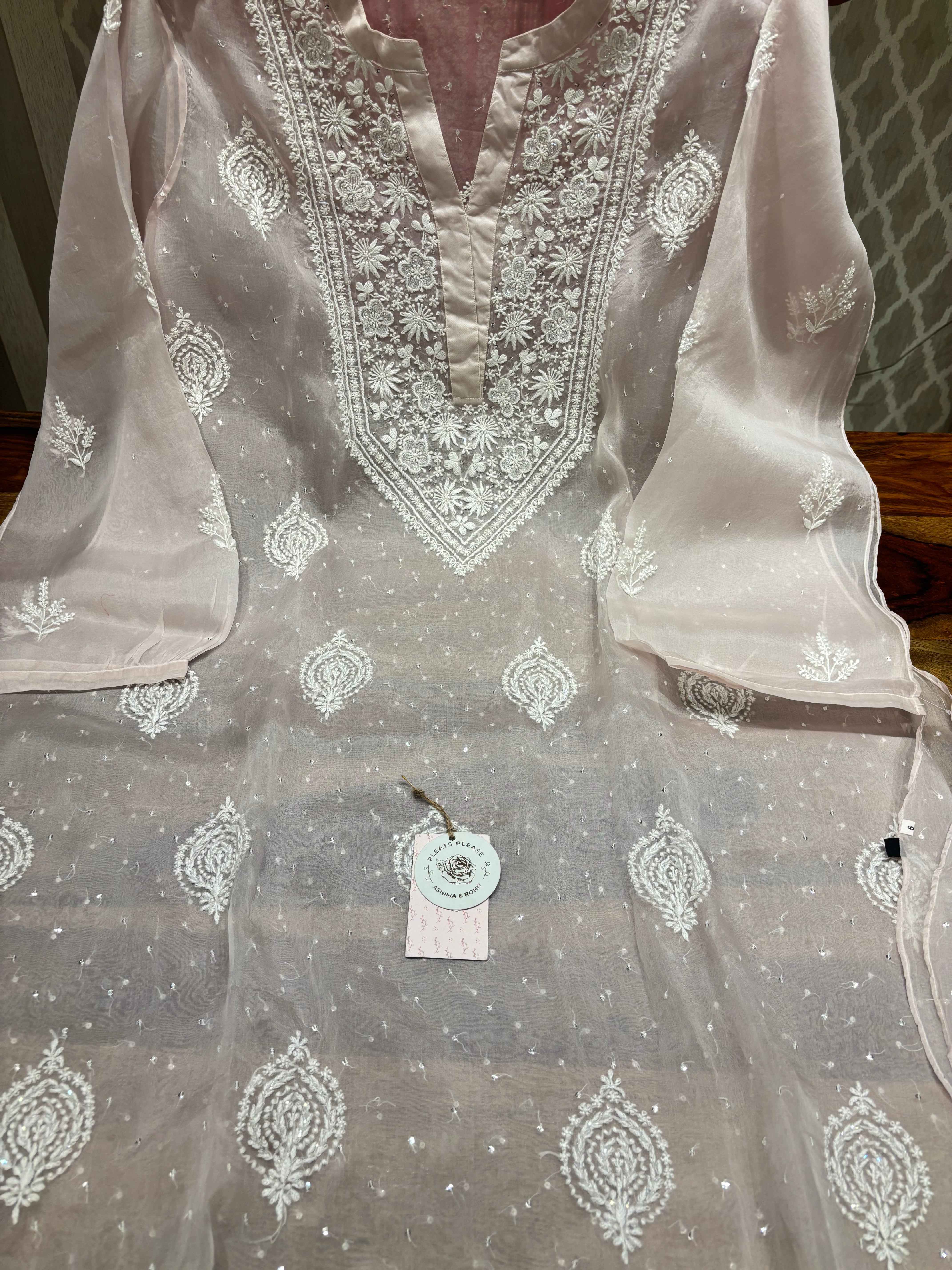 Soft Pink Organza Chikankari Co-ord Set - Pleats PleaseChikankari