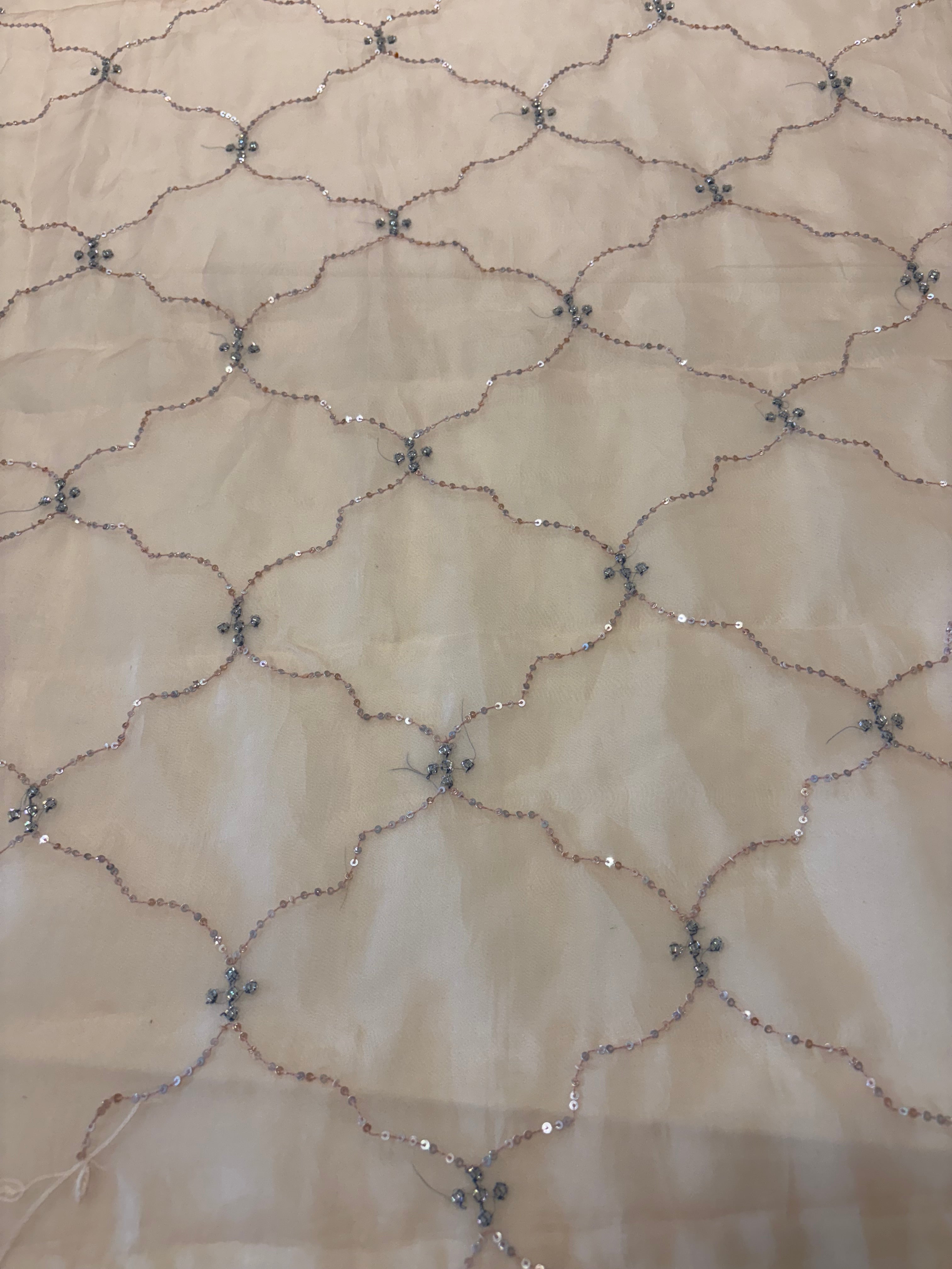Pale Peach Pure Organza Chikankari Saree with Blouse