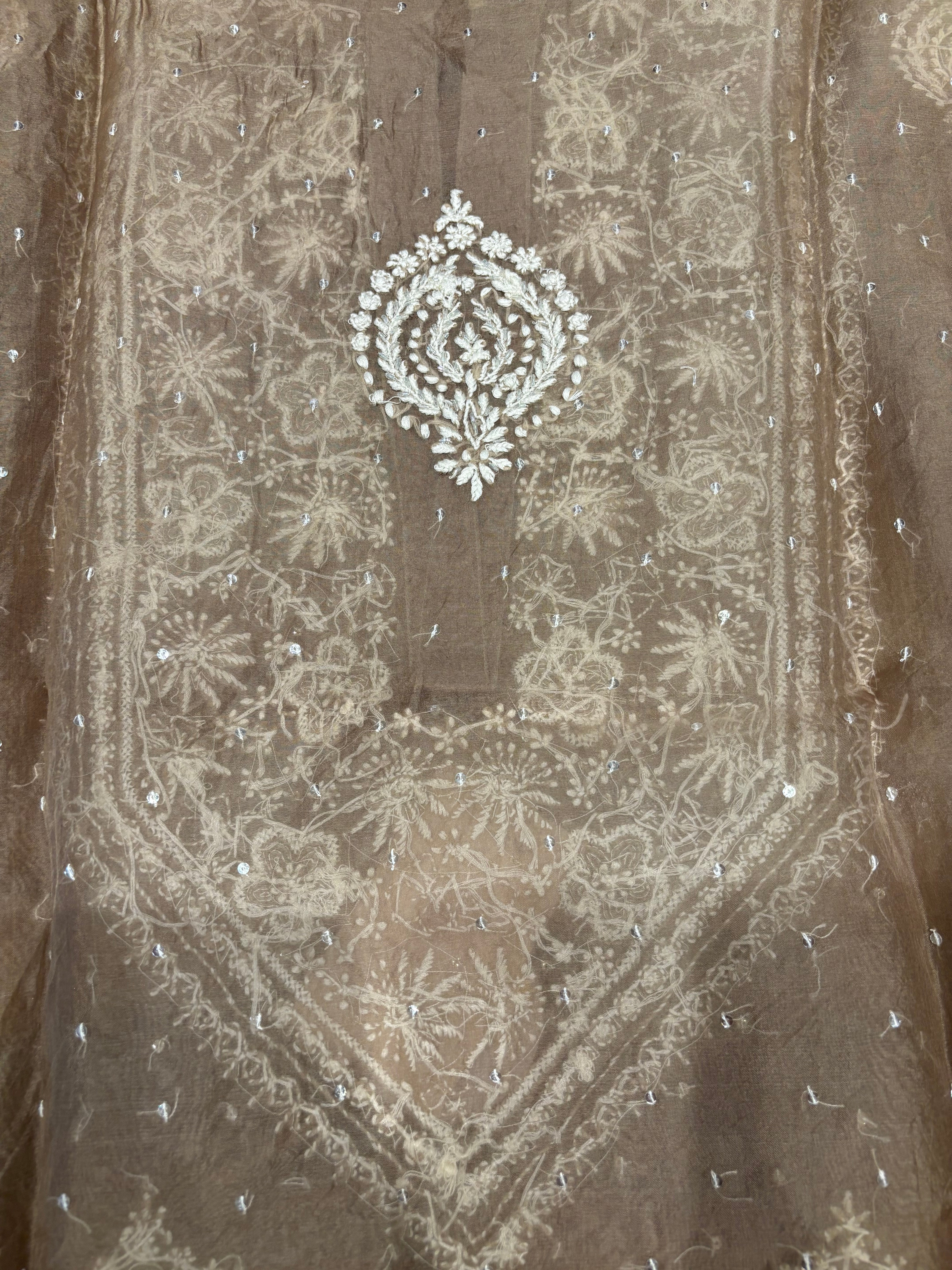 Brown Organza silk Chikankari Co-ord