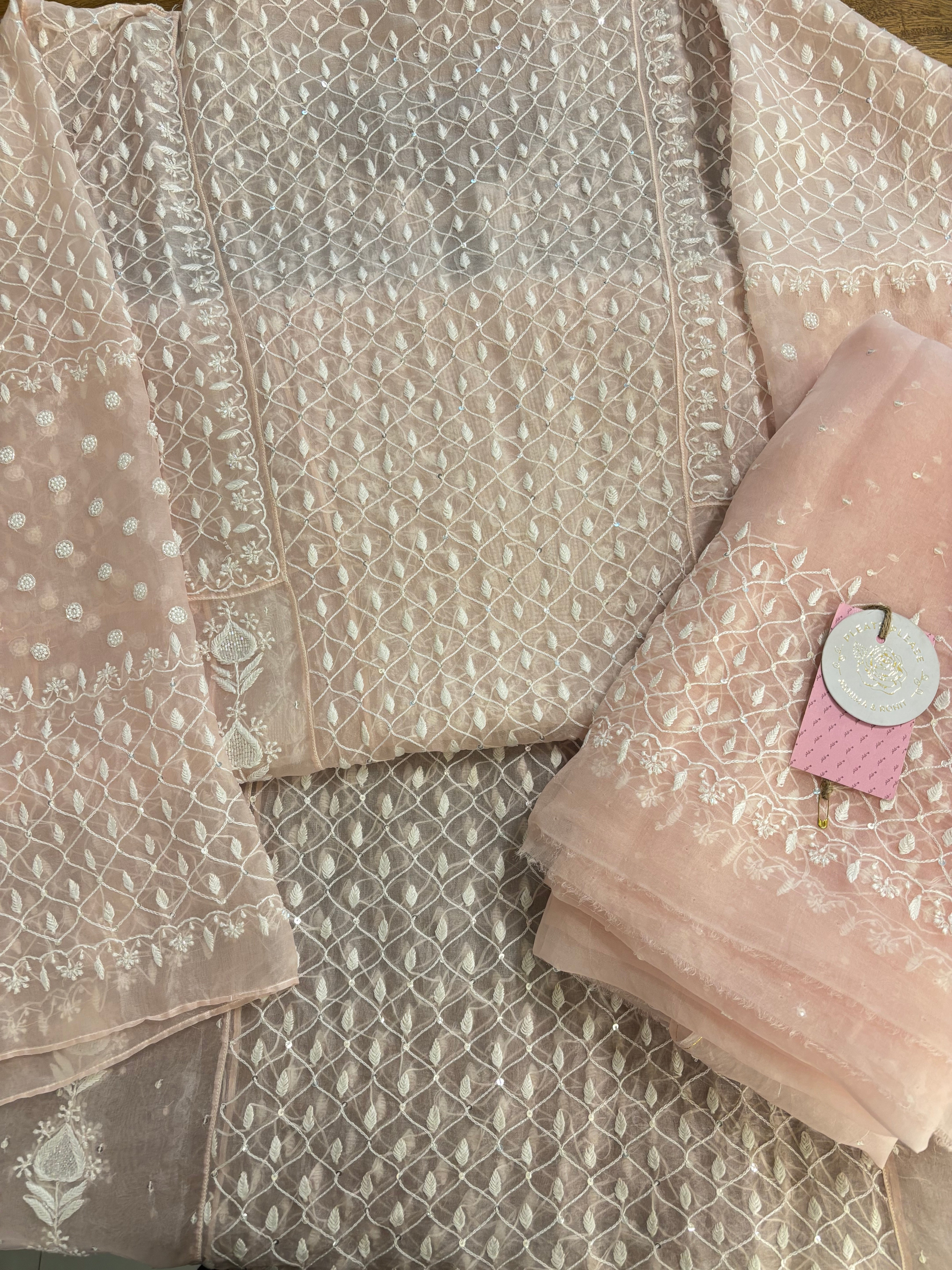 Baby Pink Organza Silk Chikankari Anarkali & Dupatta