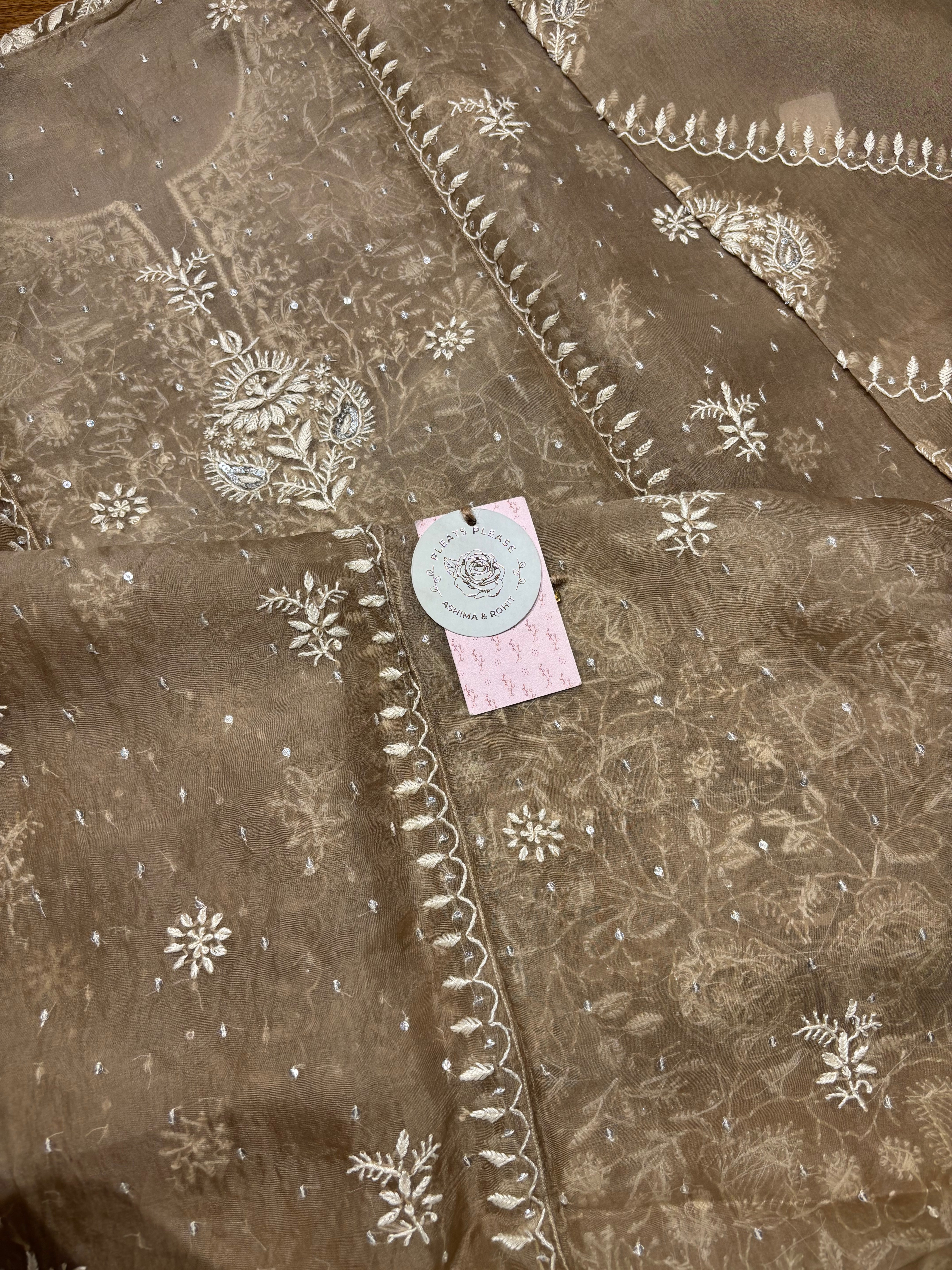 Brown Organza Chikankari Kurta and Dupatta set