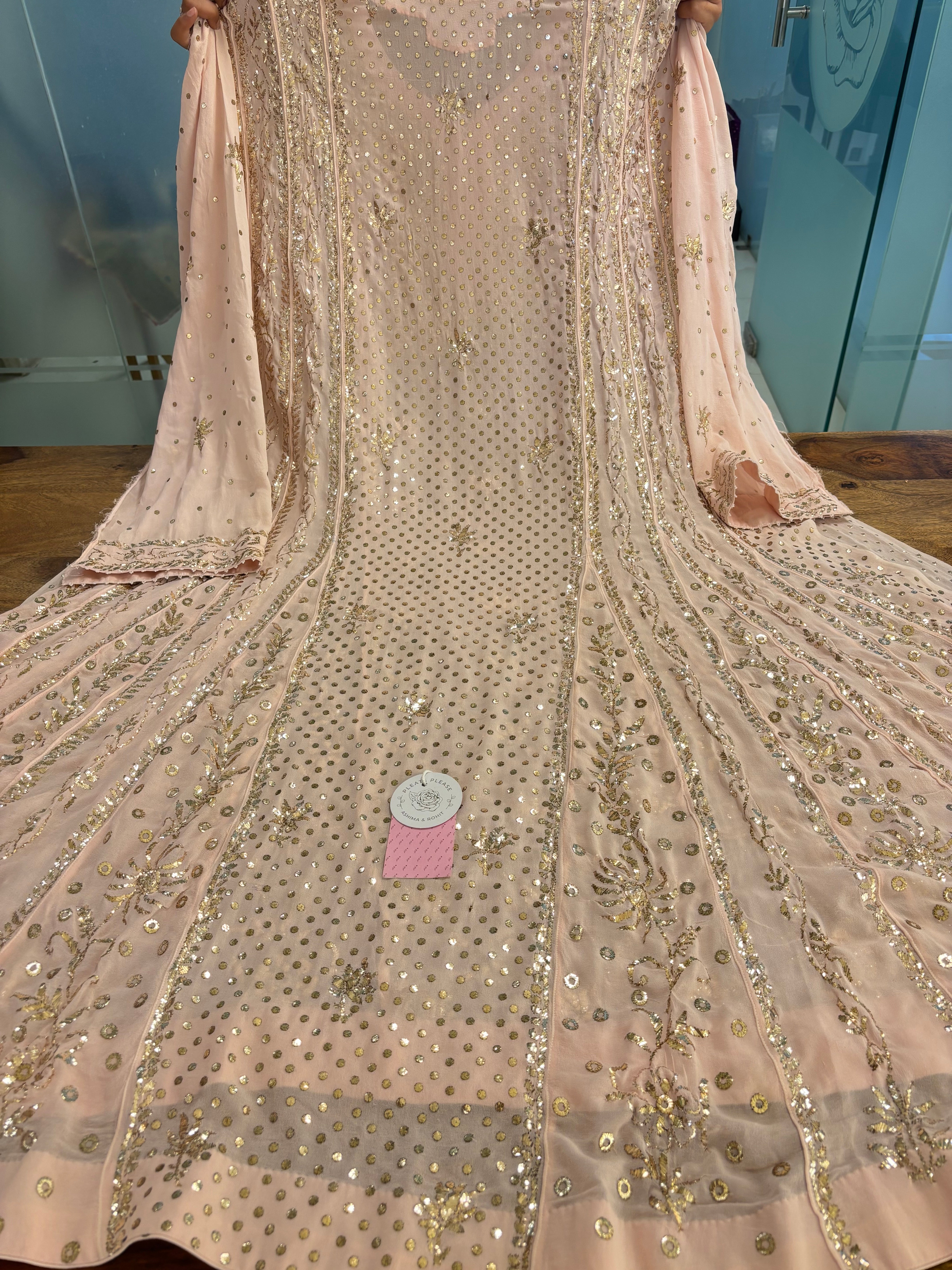 Baby Pink Pure & Premium Georgette Mukaish Jhola & Dupatta