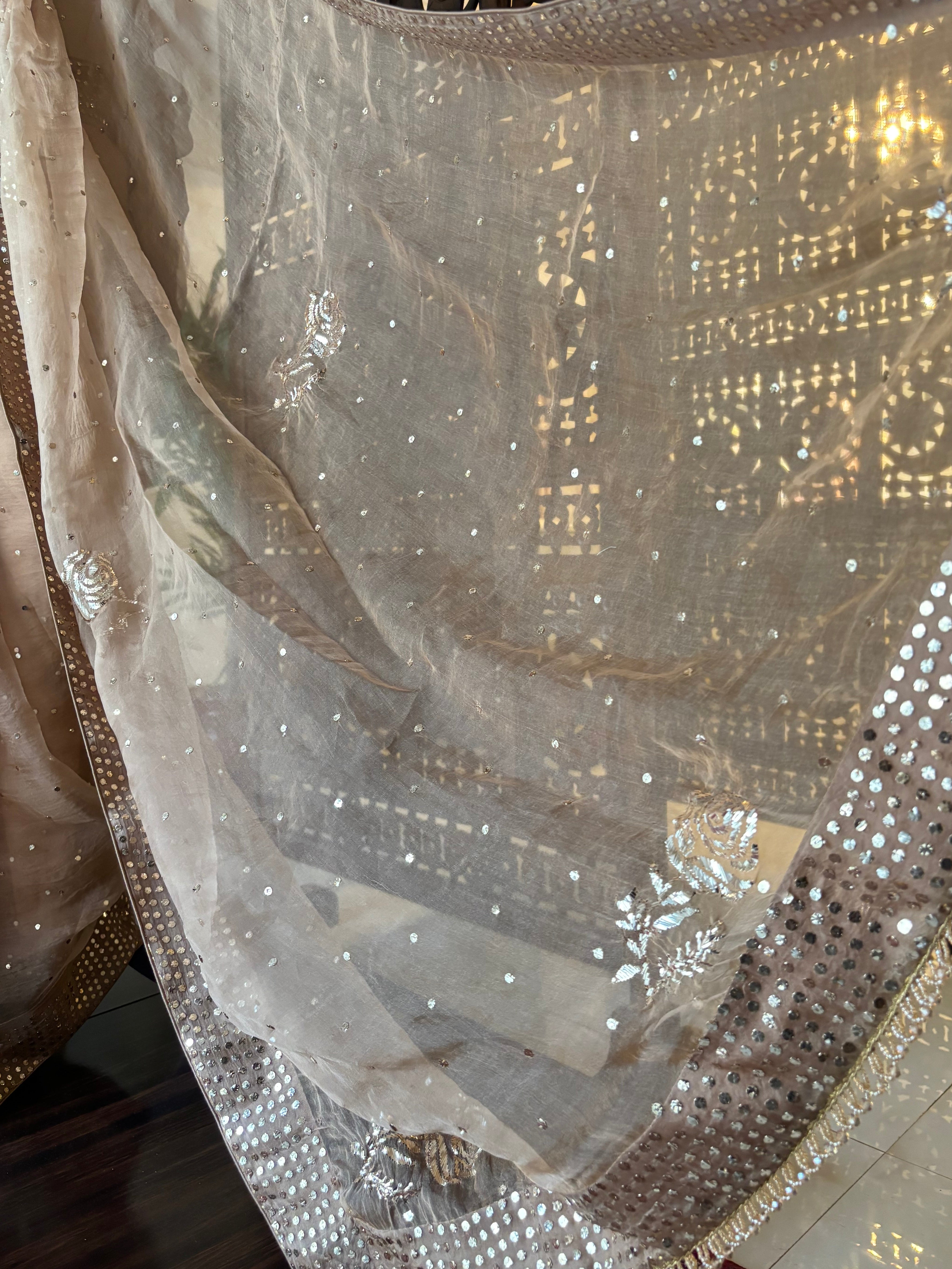 Nude Beige Pure Organza Mukaish Saree