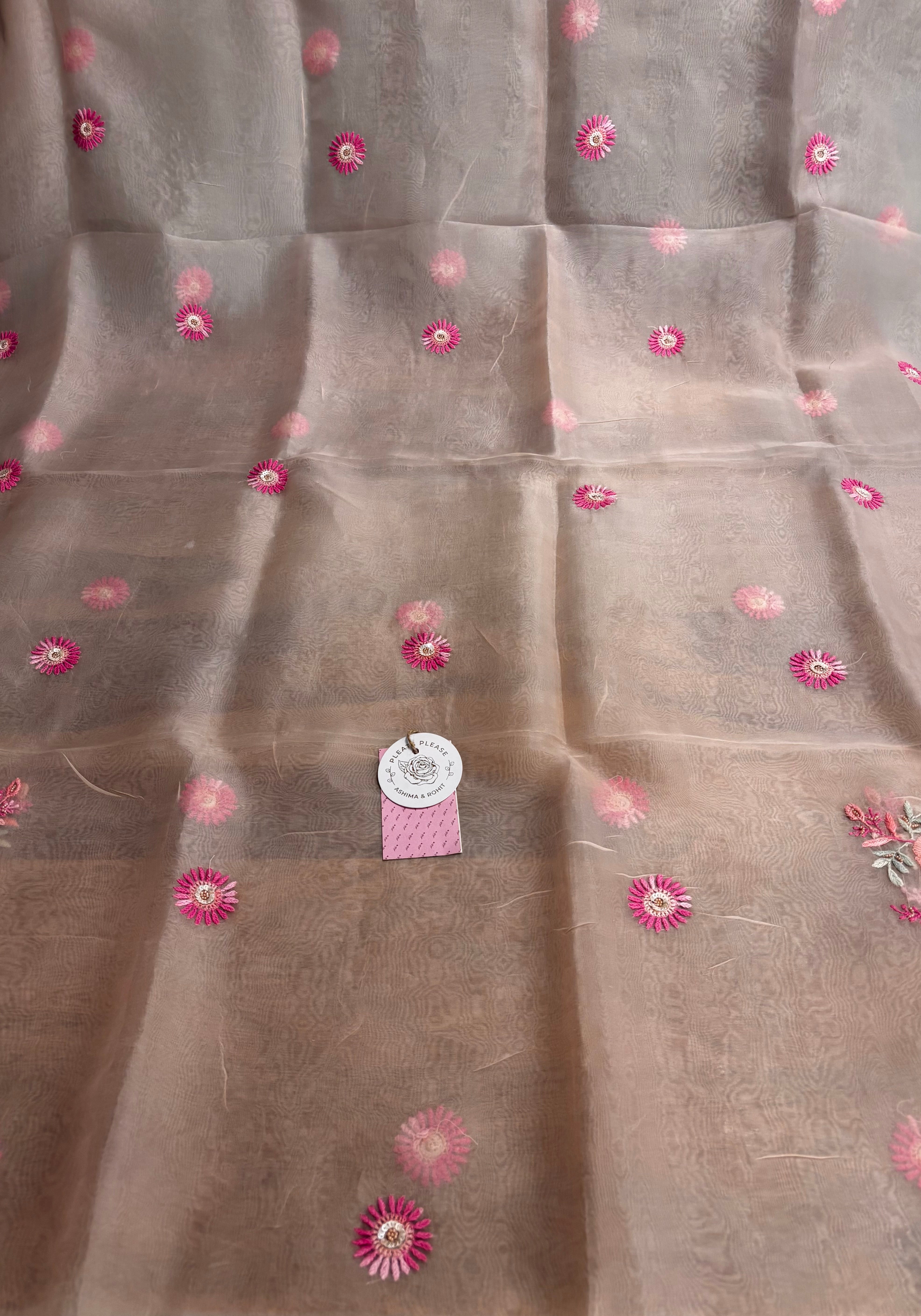 Pastle Peach Pure Organza Chikankari Kurta & Dupatta - Pleats PleaseChikankari