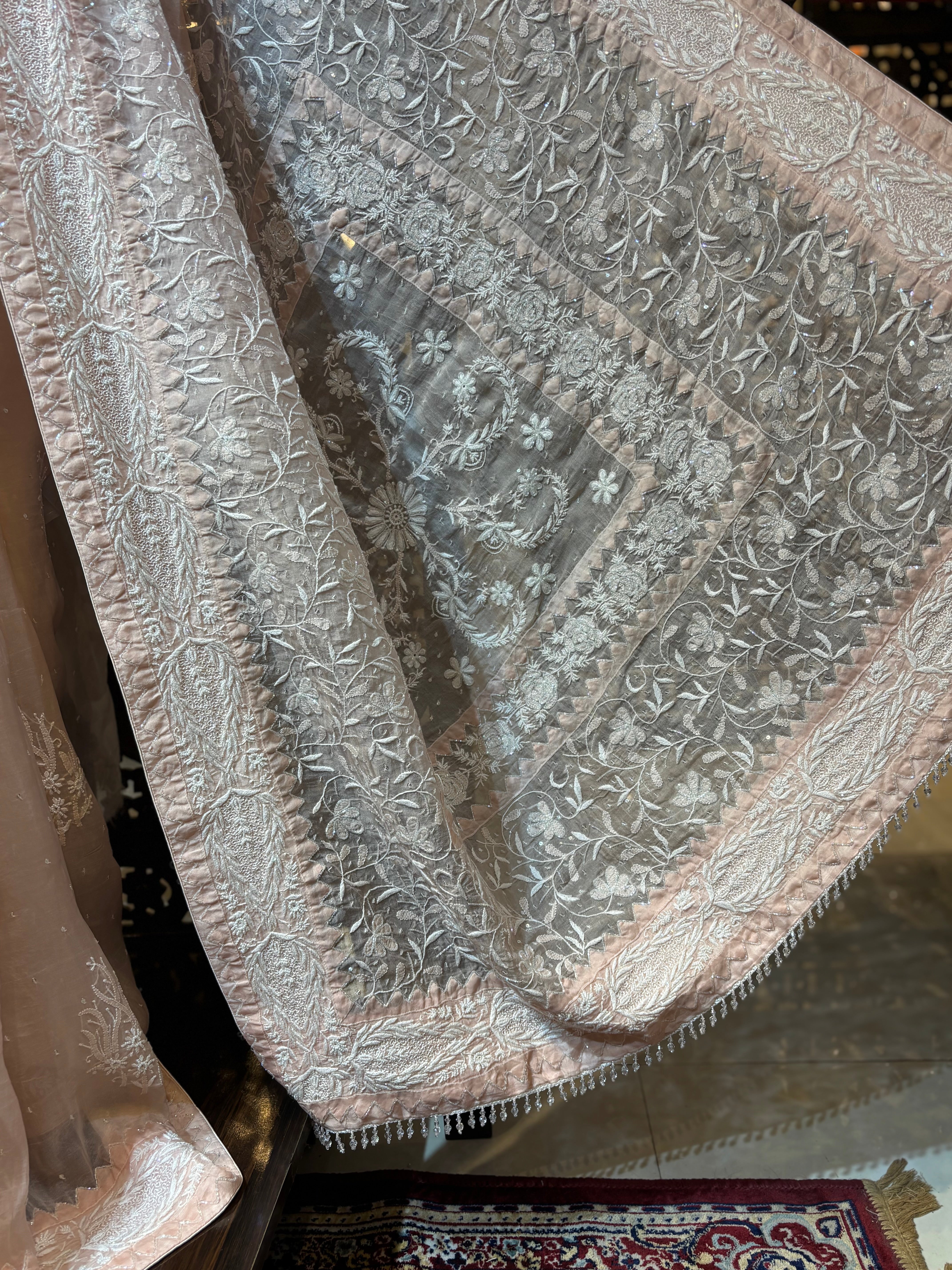 Blush Pink Organza Silk Chikankari Saree and Blouse - Pleats PleaseChikankari