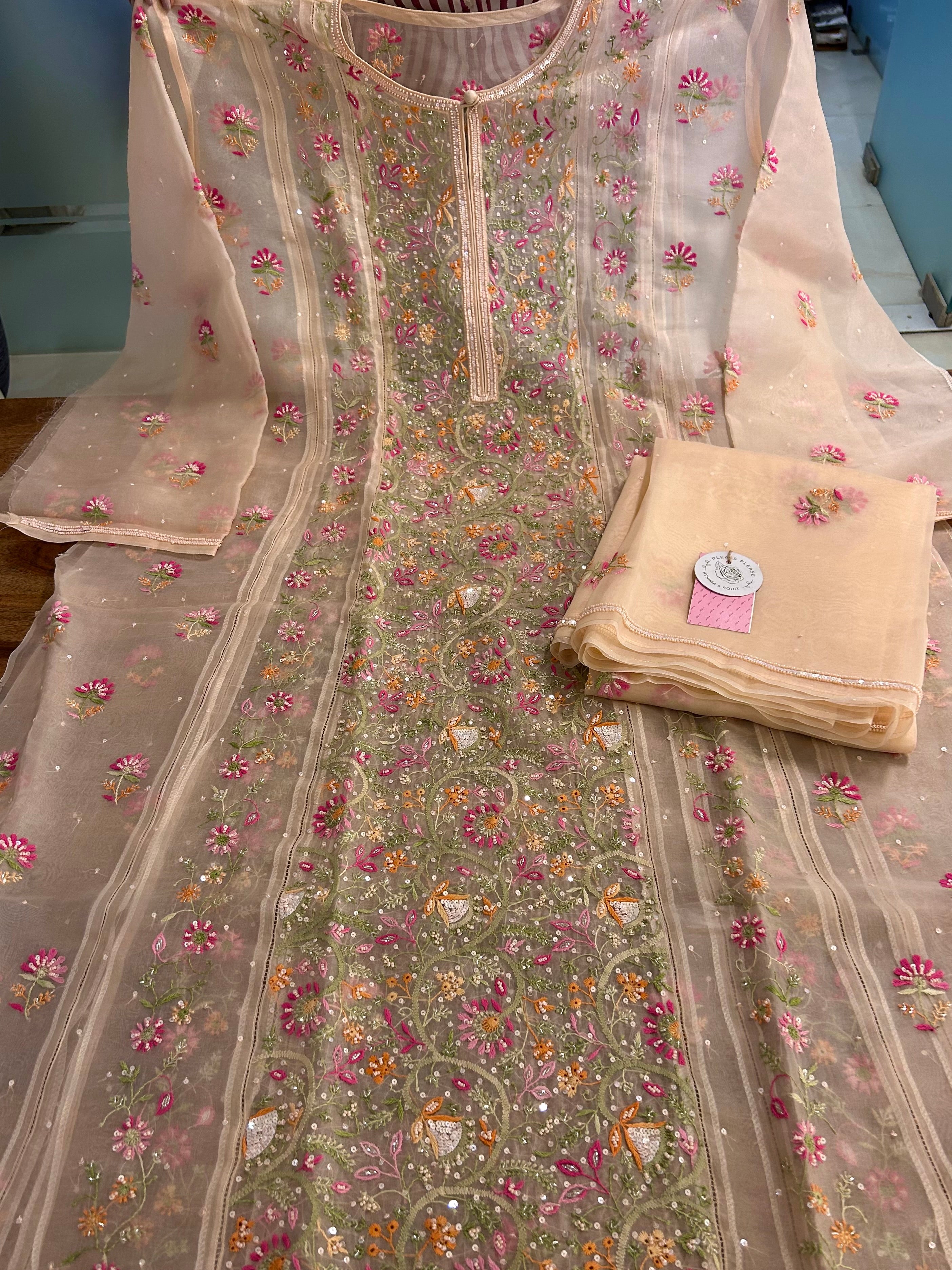 Blush Cream Pure Organza Chikankari Kurta & Dupatta