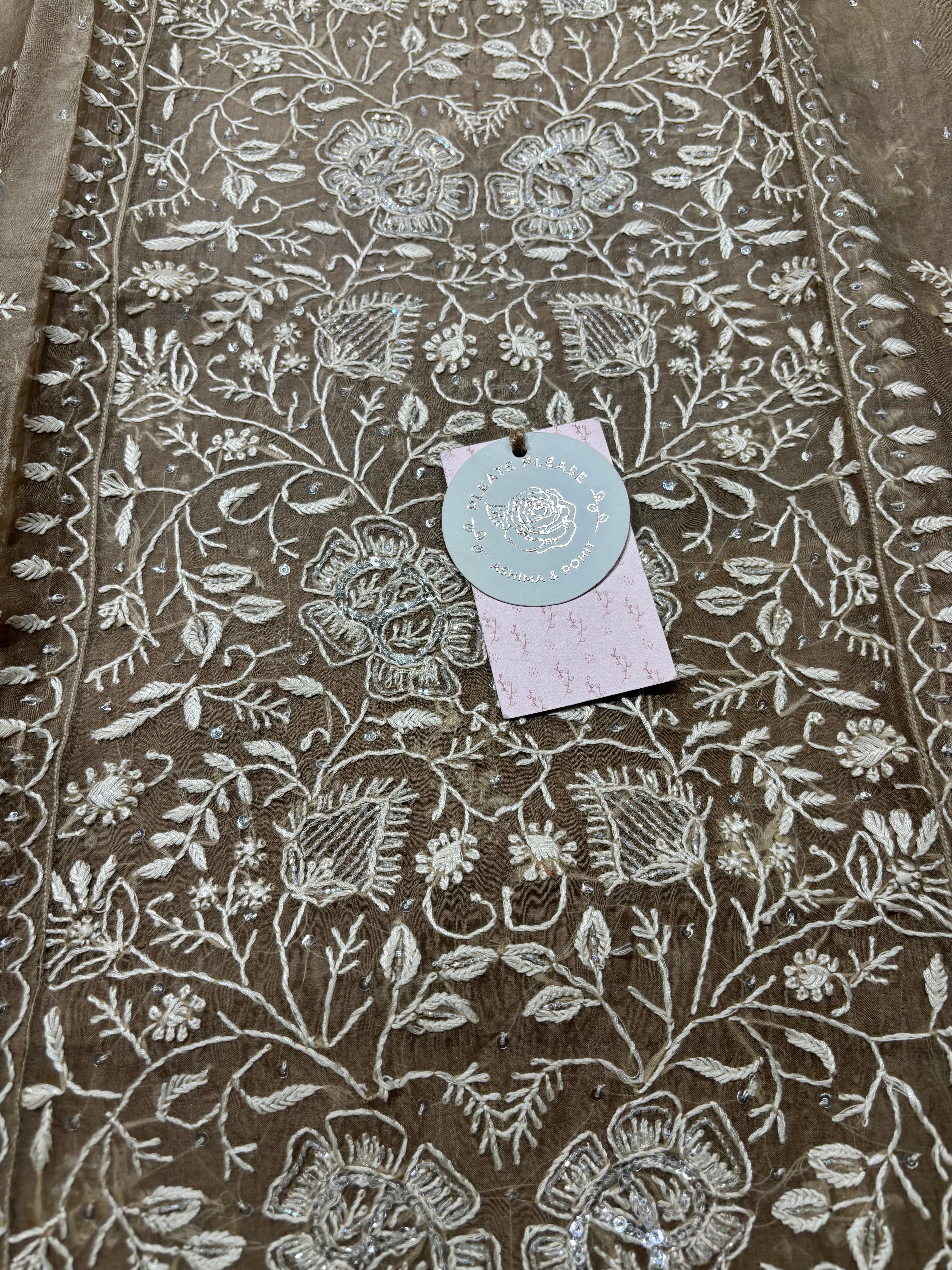 Brown Organza Chikankari Kurta and Dupatta set