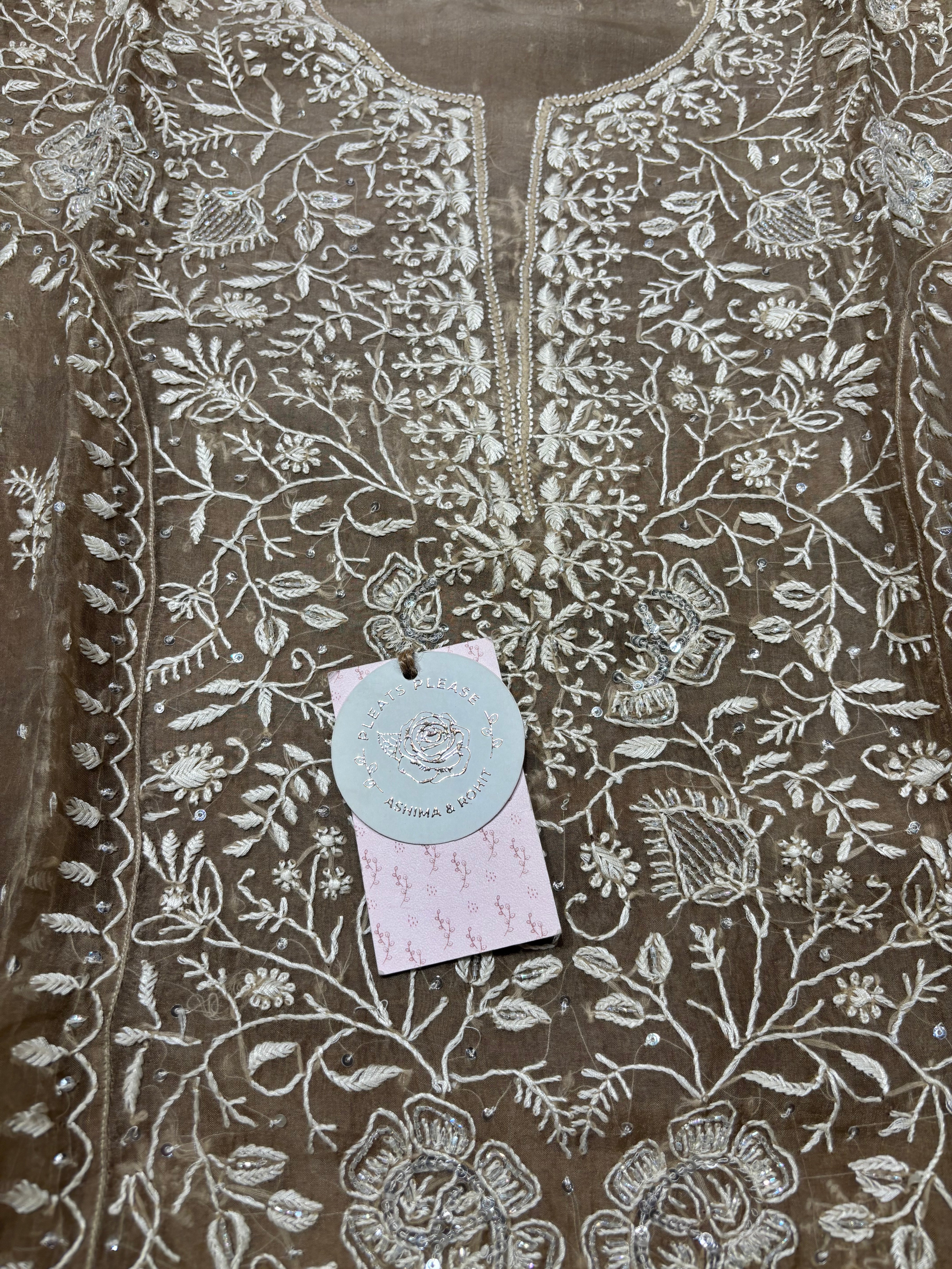 Brown Organza Chikankari Kurta and Dupatta set