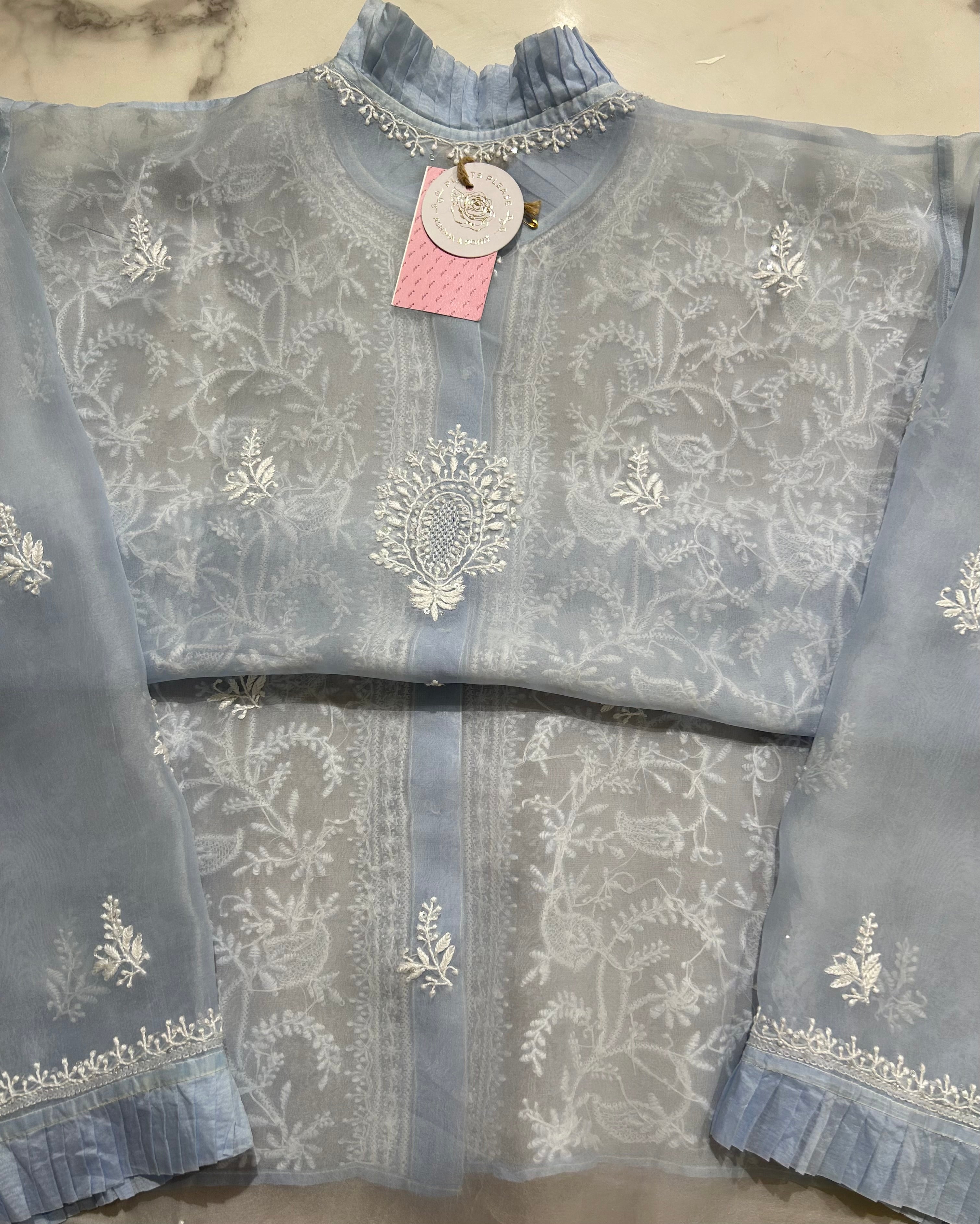 Powder Blue Pure Organza Chikankari Shirt - Pleats PleaseChikankari