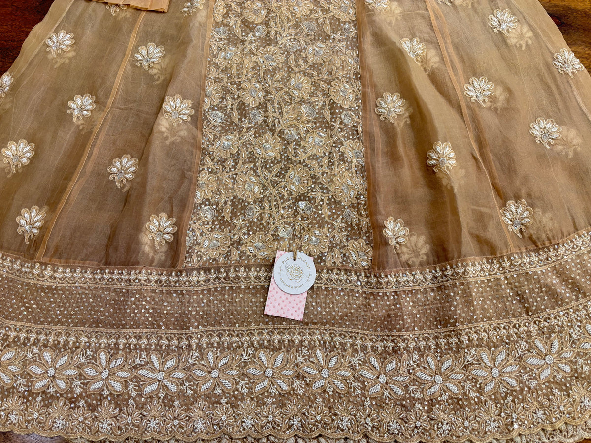 Peach Ombré Pure Organza Chikankari Anarkali,Dupatta With Bottom