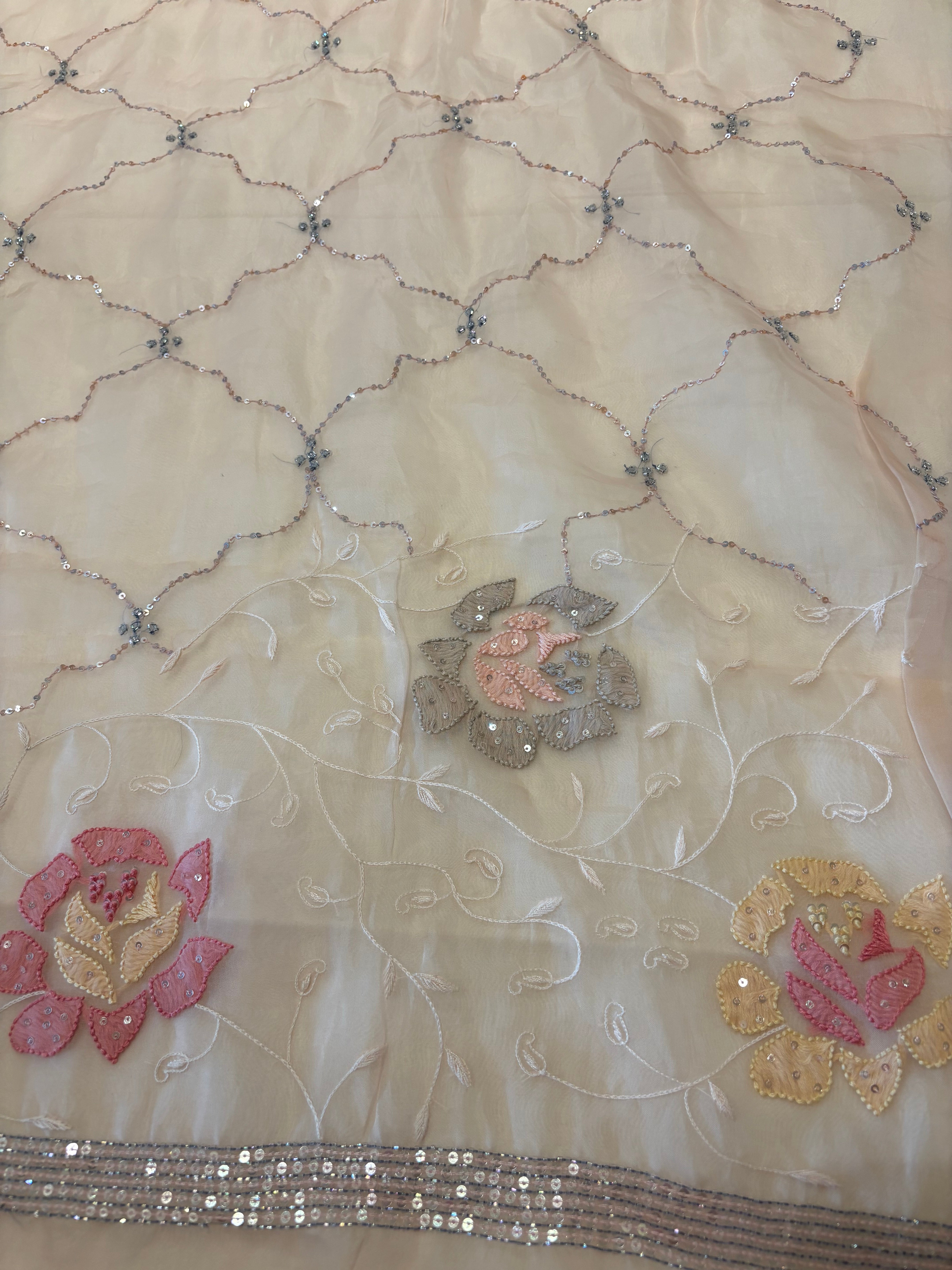 Pale Peach Pure Organza Chikankari Saree with Blouse