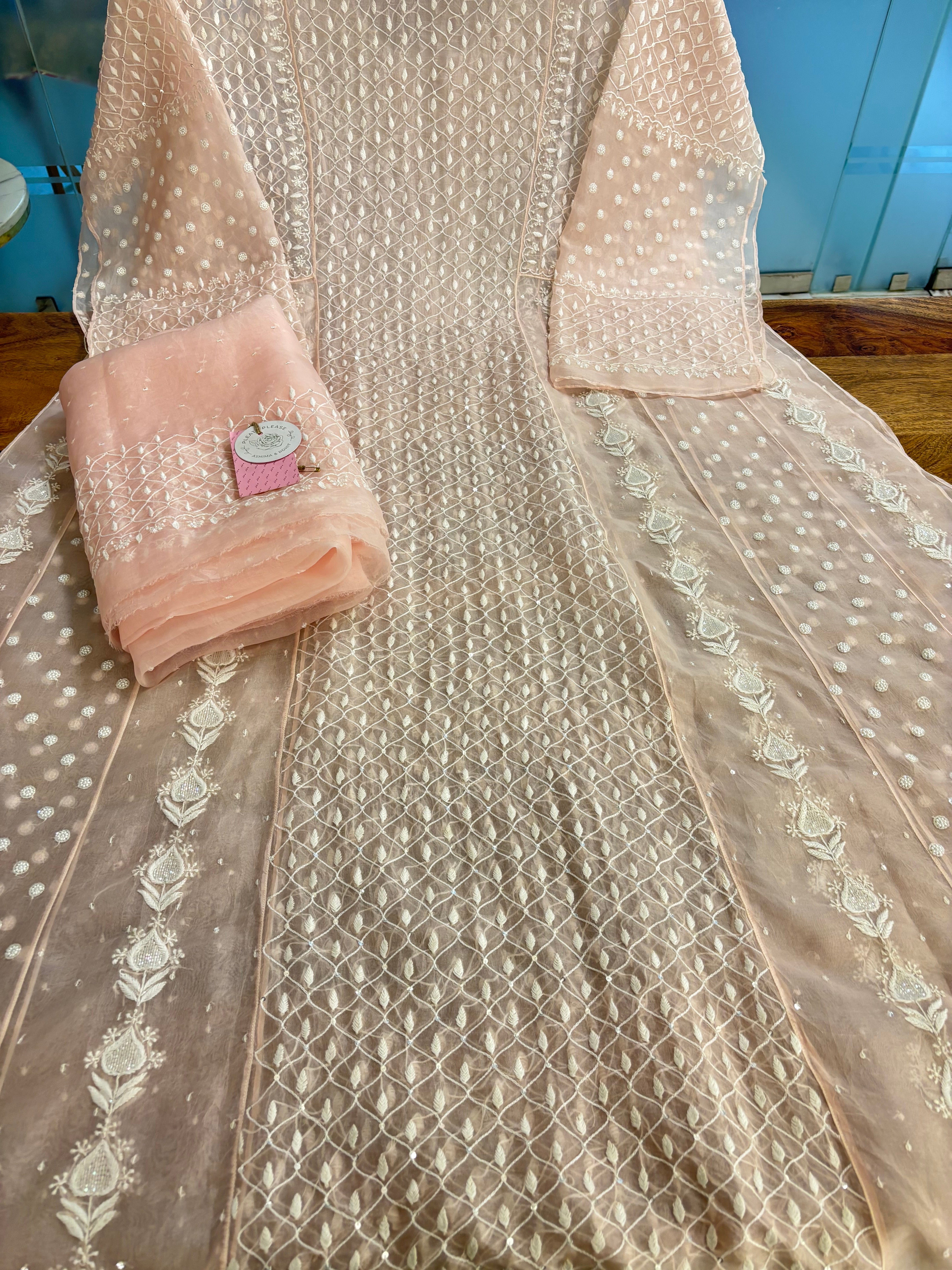 Baby Pink Organza Silk Chikankari Anarkali & Dupatta