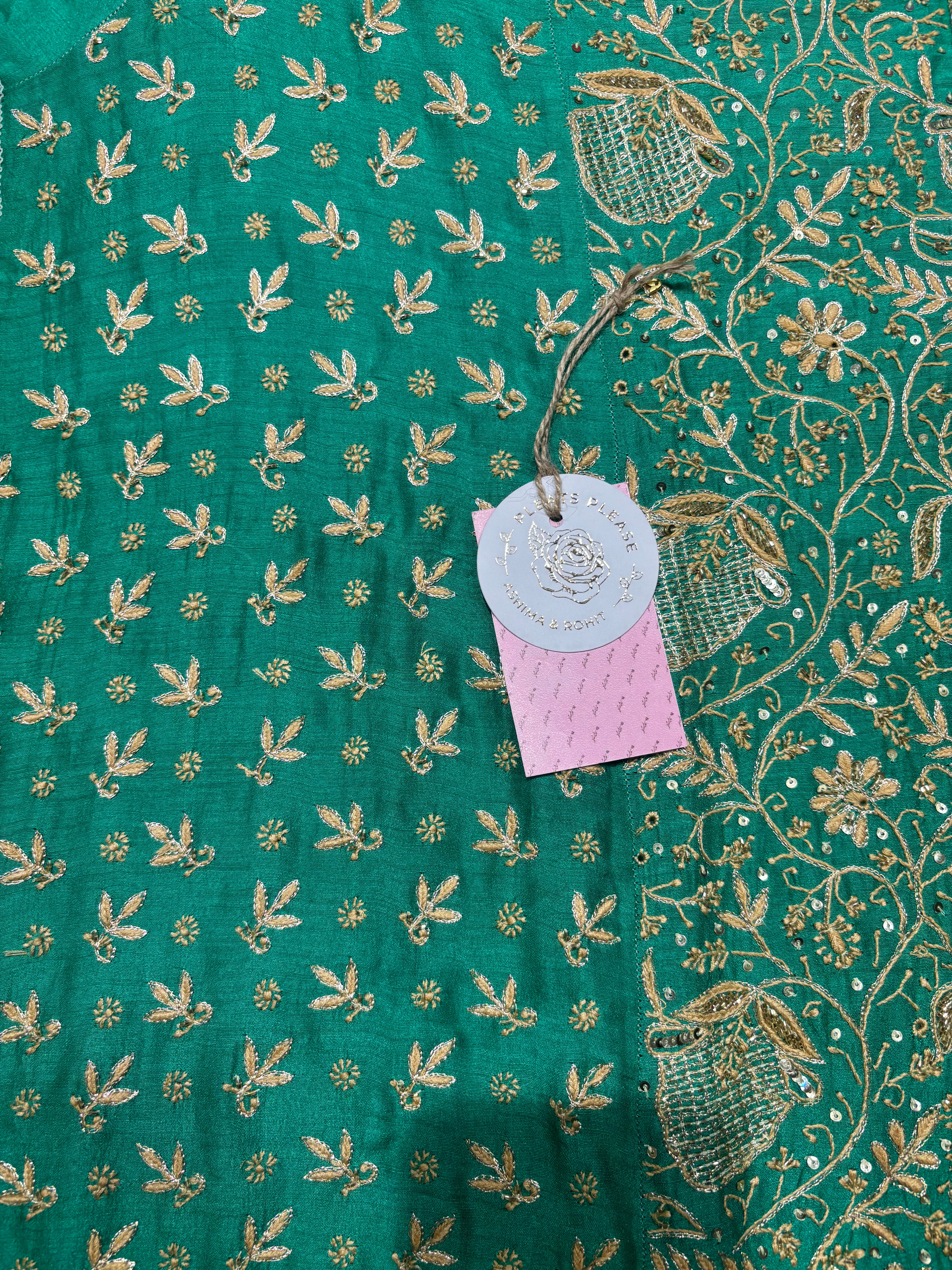 Green Monga Silk Chikankari Kurta and Dupatta