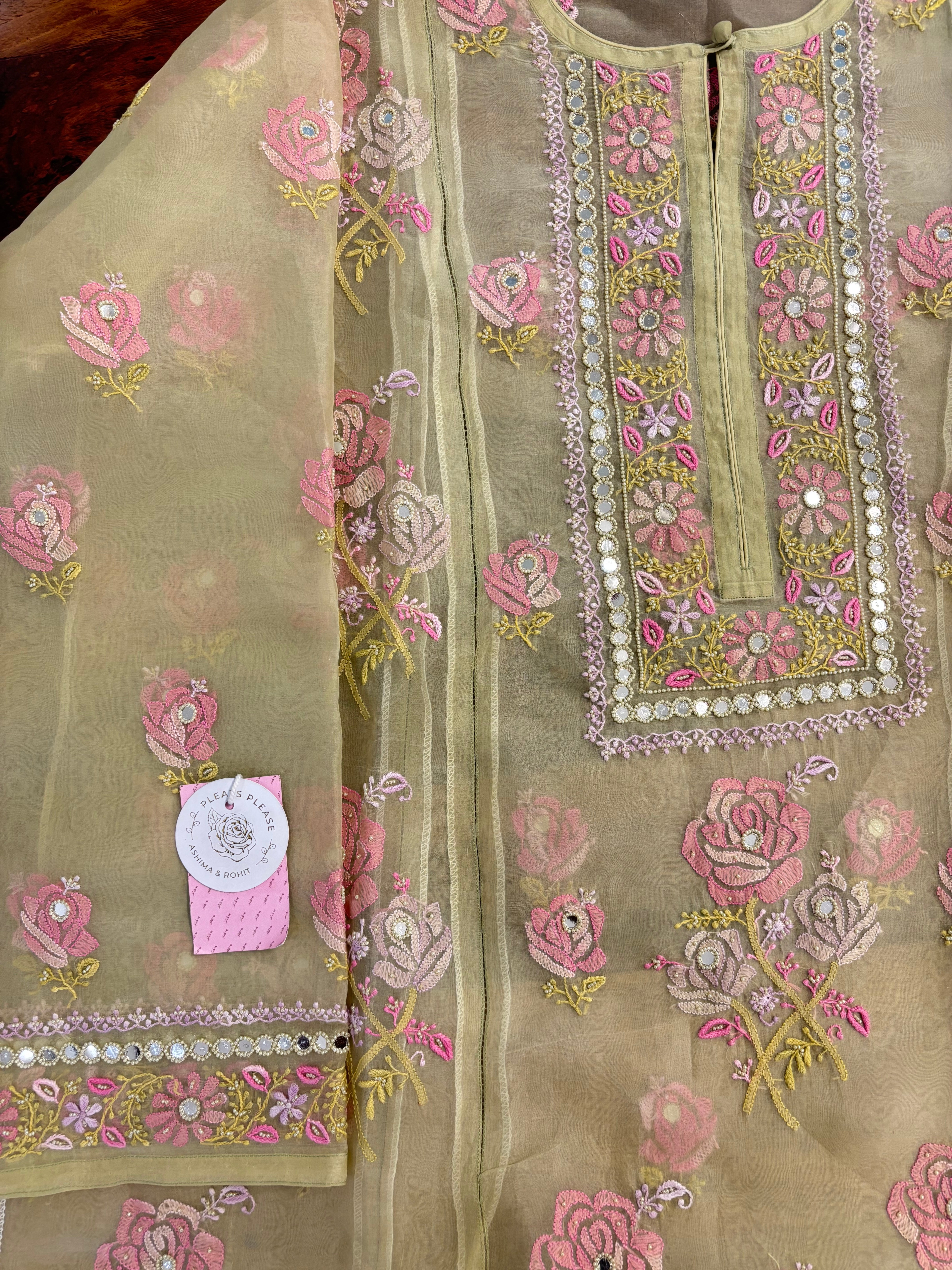 Champagne Gold Pure Organza Silk Chikankari Kurta & Dupatta