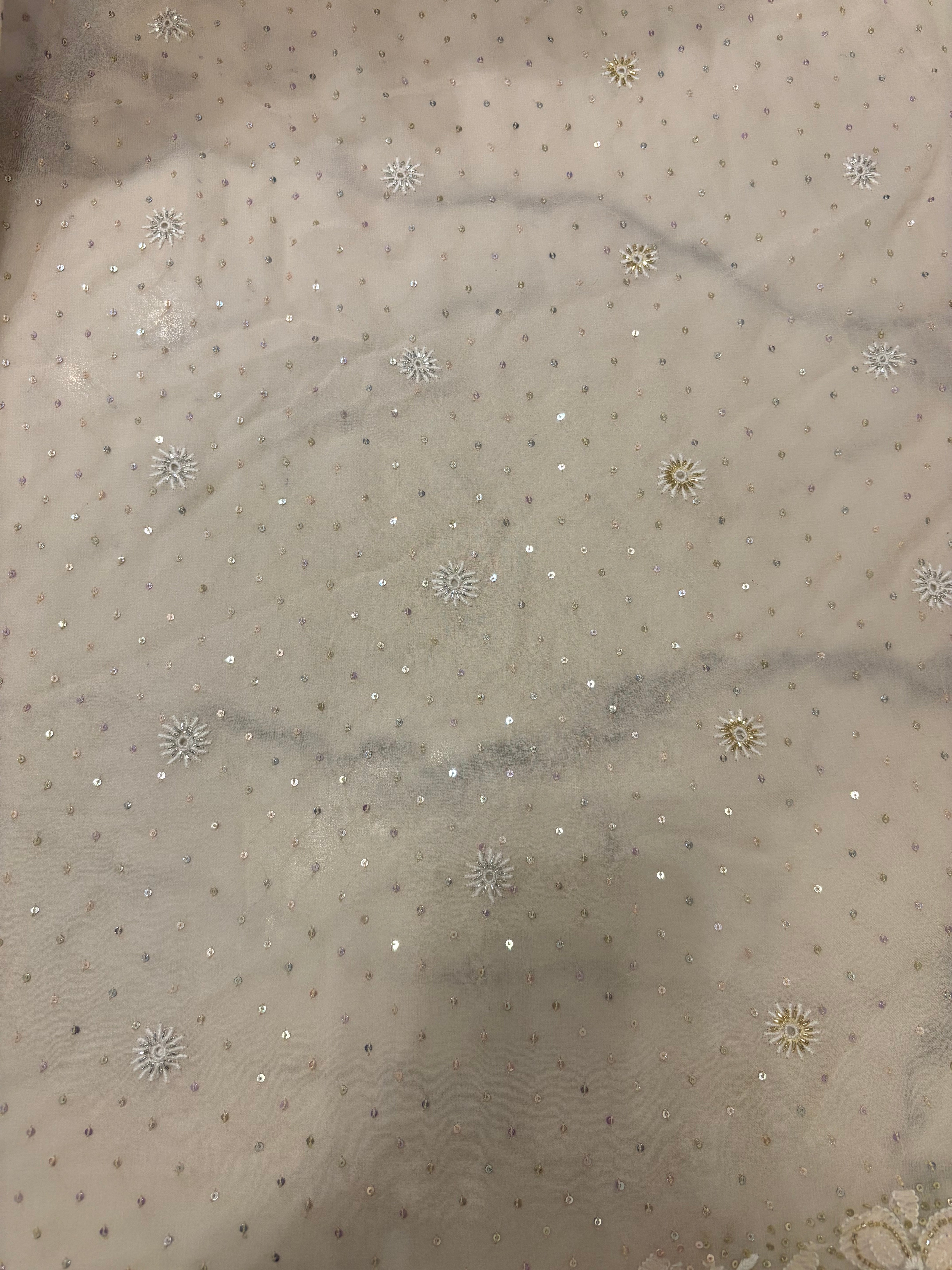 Coffee Cream Pure Georgette Chikankari Saree and Blouse