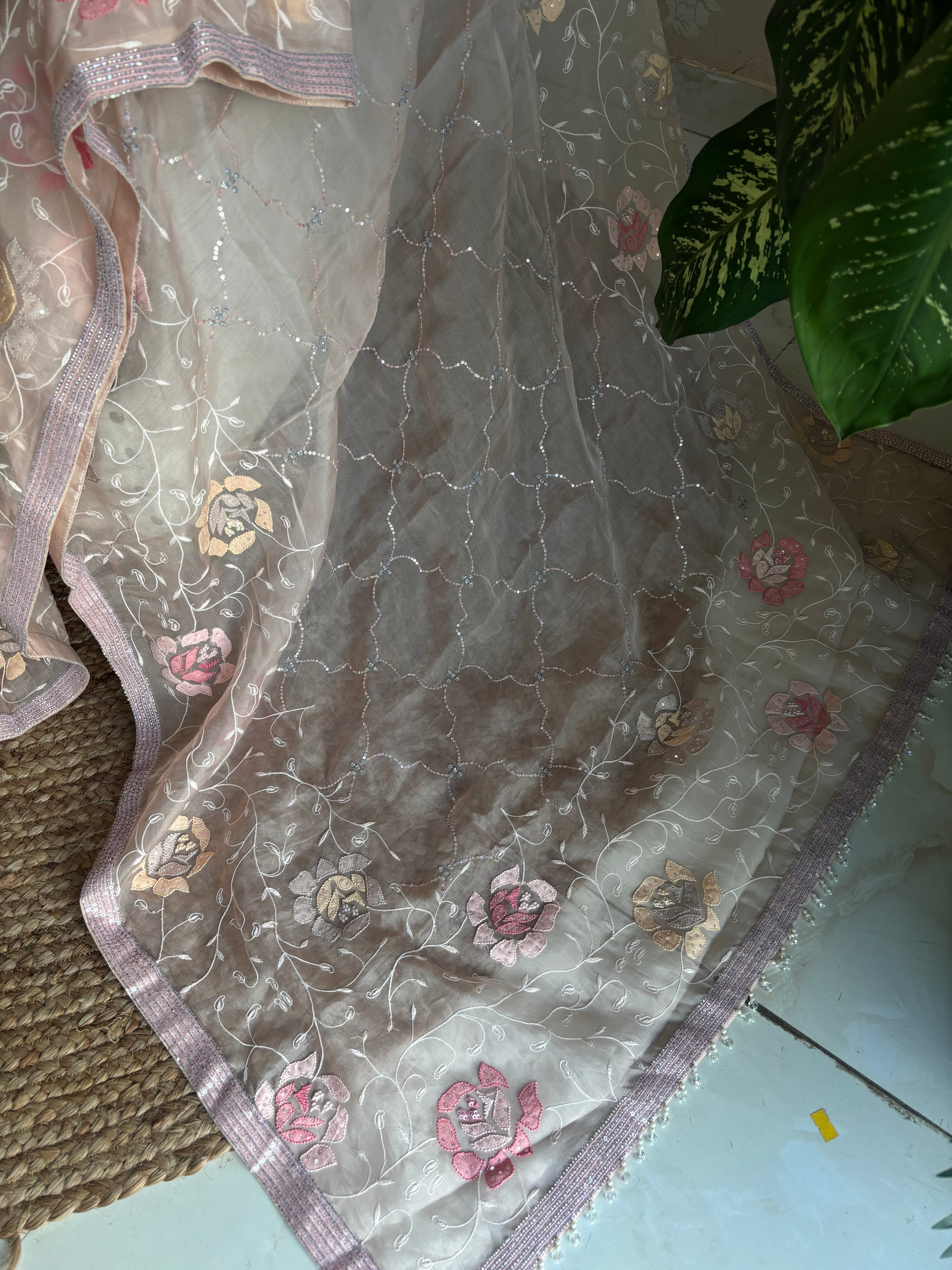 Pale Peach Pure Organza Chikankari Saree with Blouse