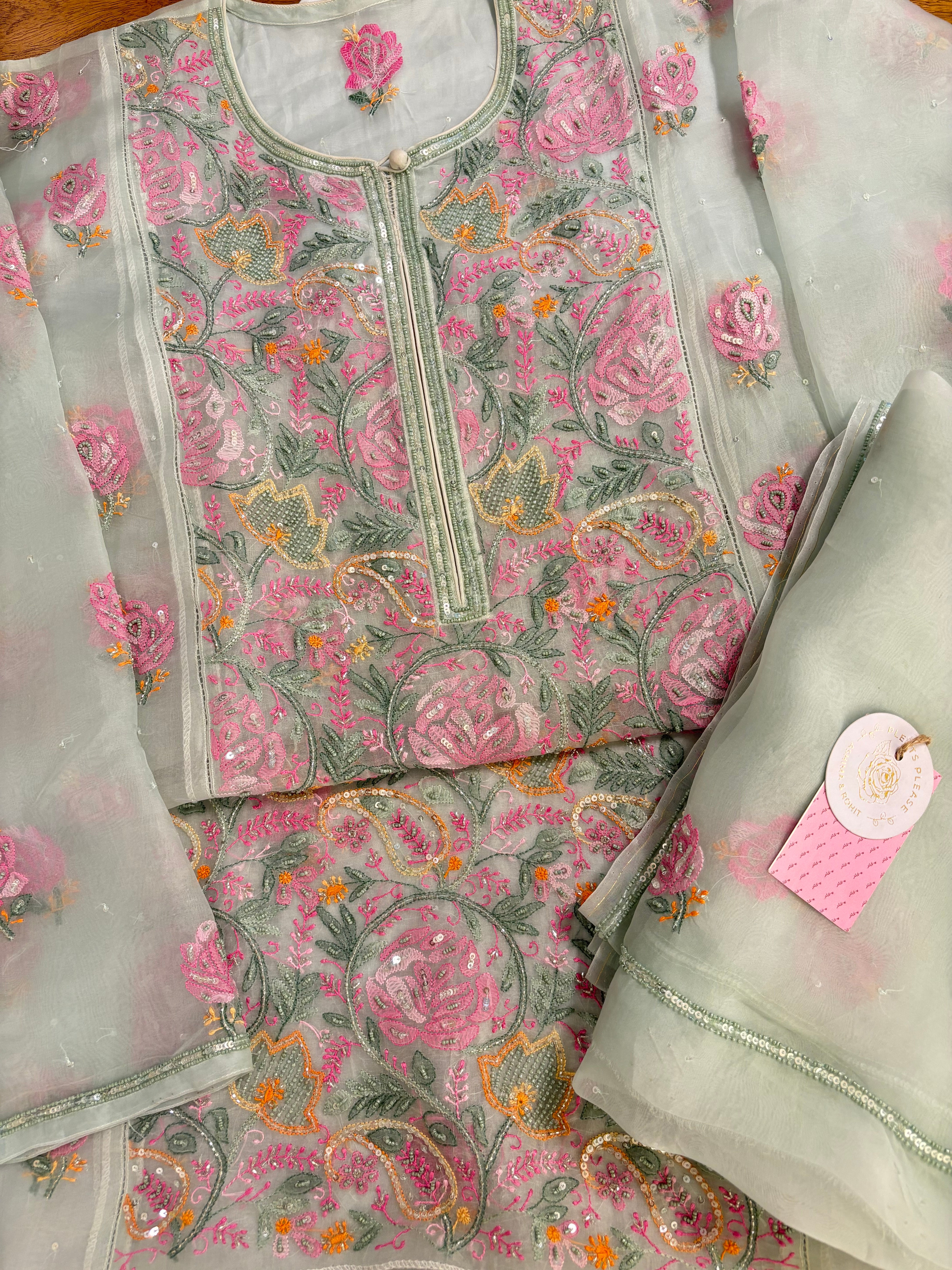 Ice Green Pure Organza Chikankari Kurta & Dupatta