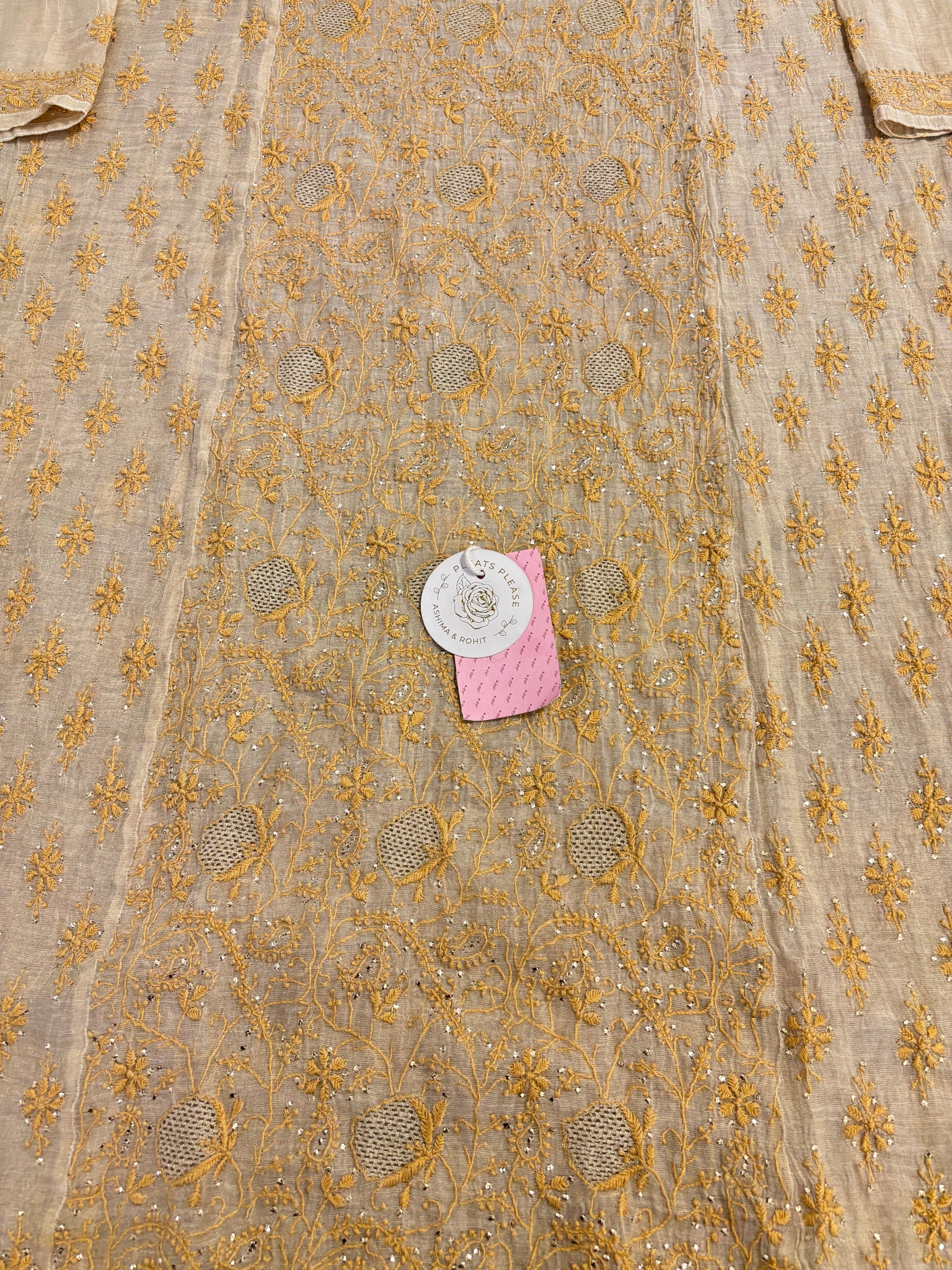 Dyeable Pure & Premium Tissue Chikankari Kurta & Dupatta - Pleats PleaseChikankari