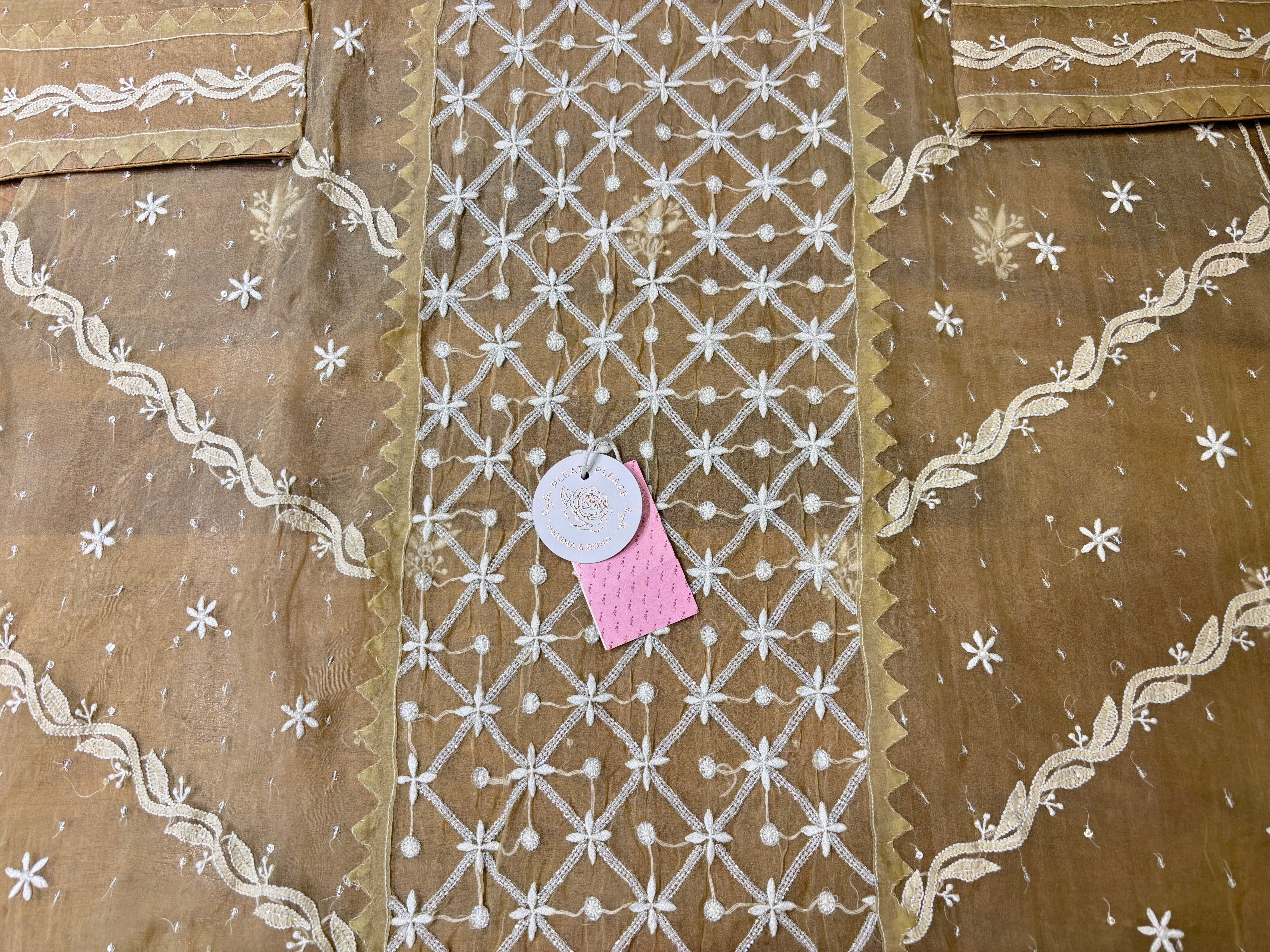 Golden Brown Pure Organza Silk Chikankari Kurta & Dupatta