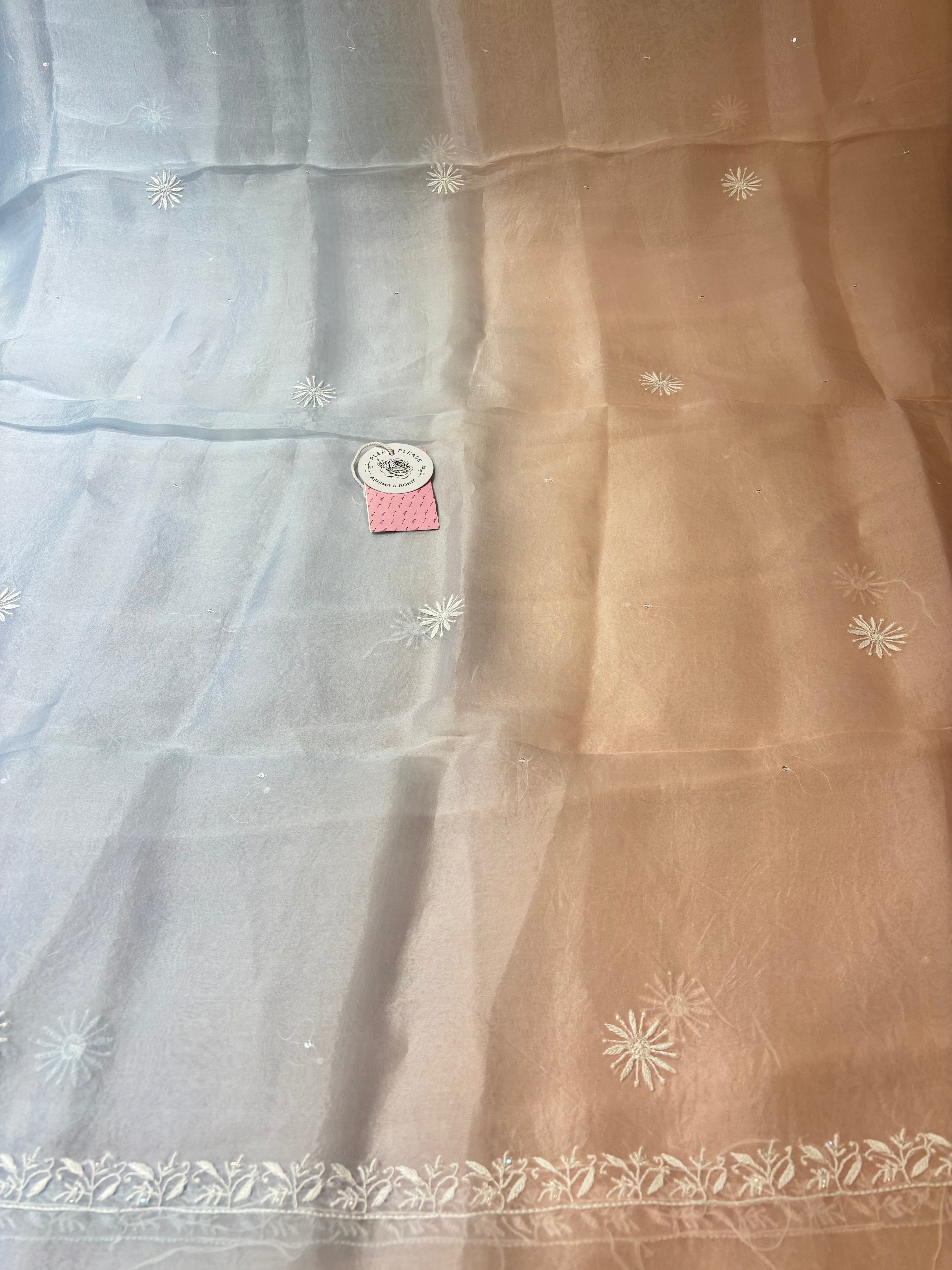 Blush Pink Pure Organza Silk Chikankari Kurta & Dupatta - Pleats PleaseChikankari