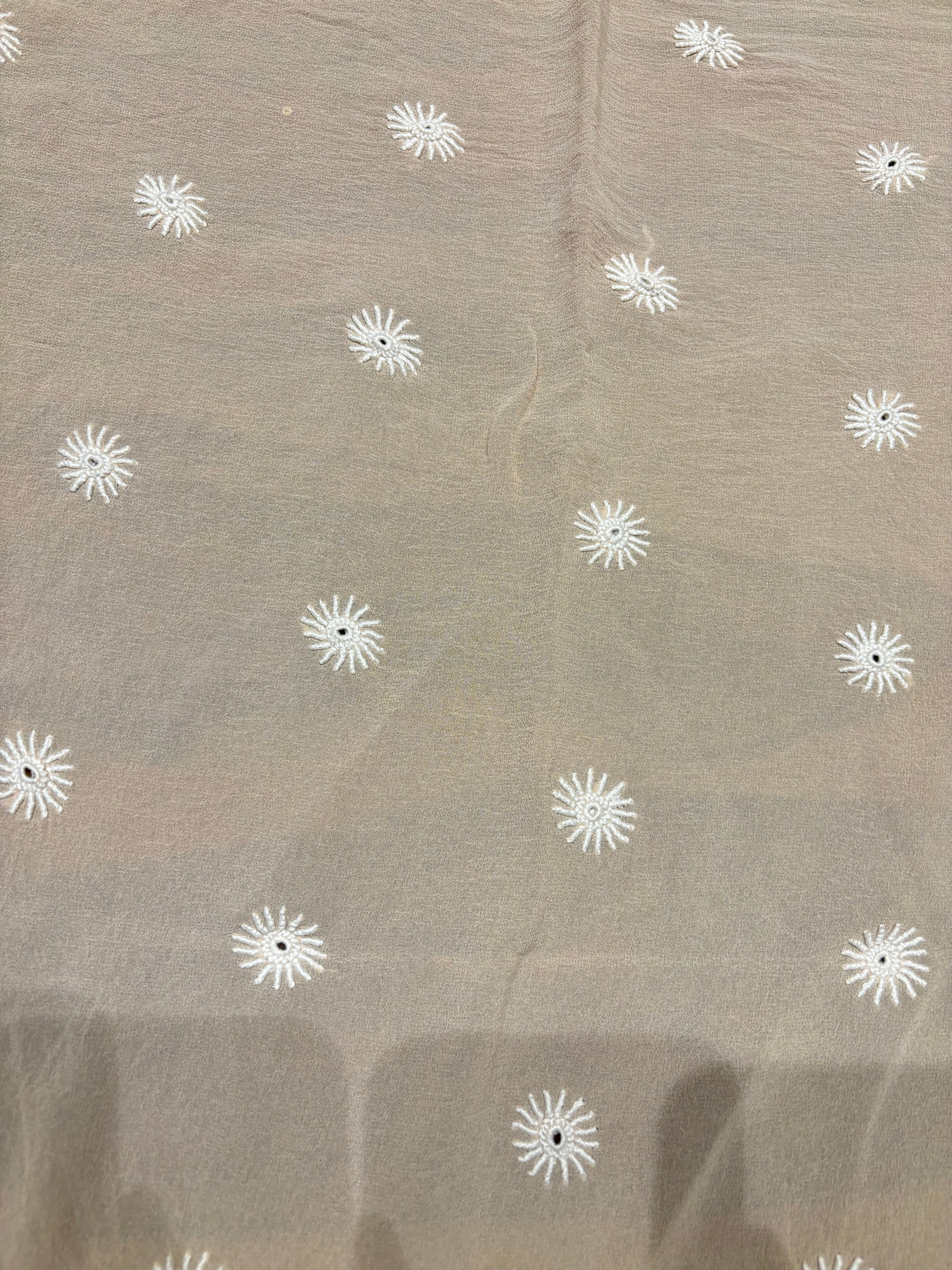 Latte Pure Georgette Chikankari Saree and Blouse