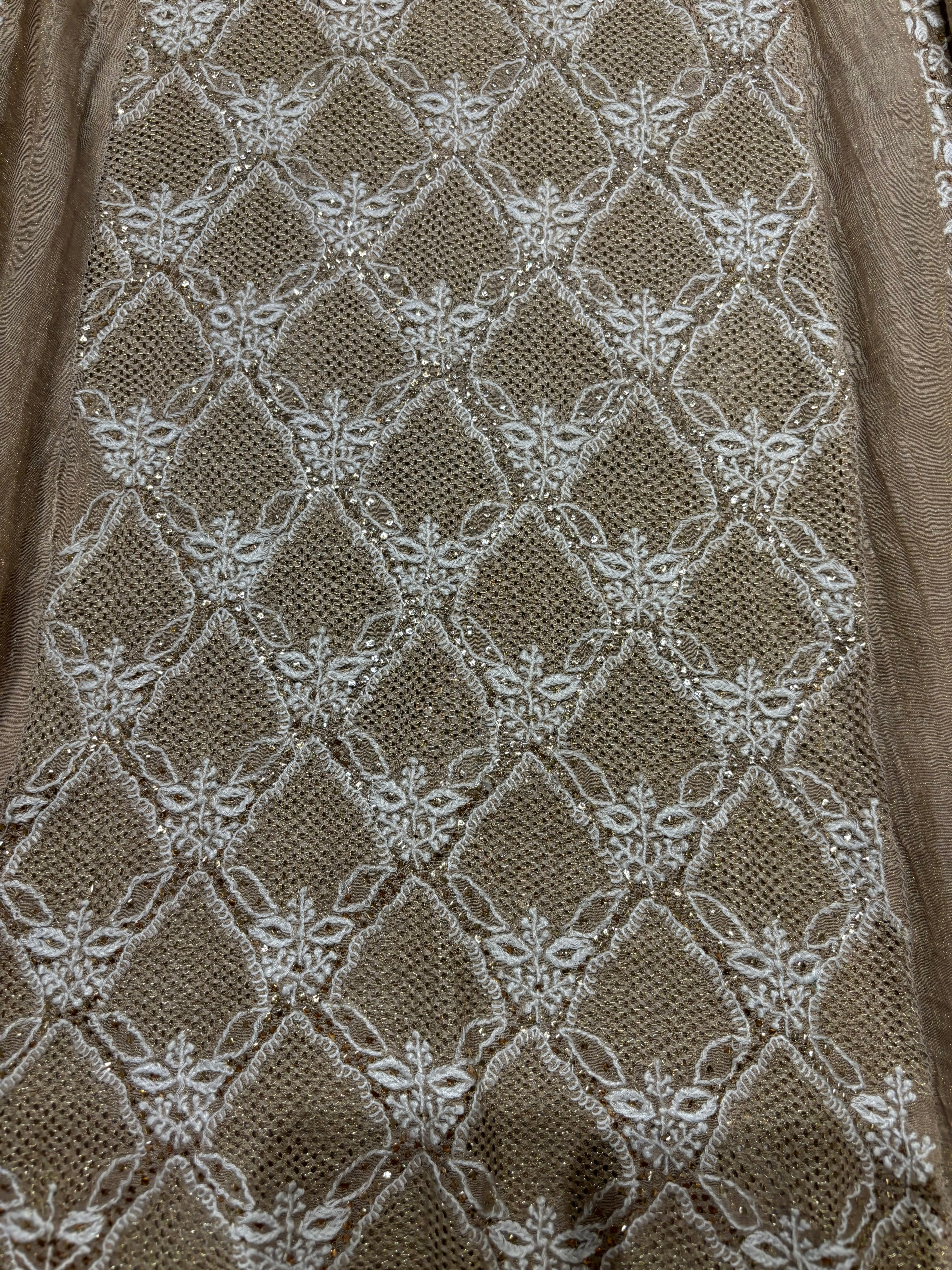Hazelnut Pure Tissue Chikankari Anarkali and Dupatta