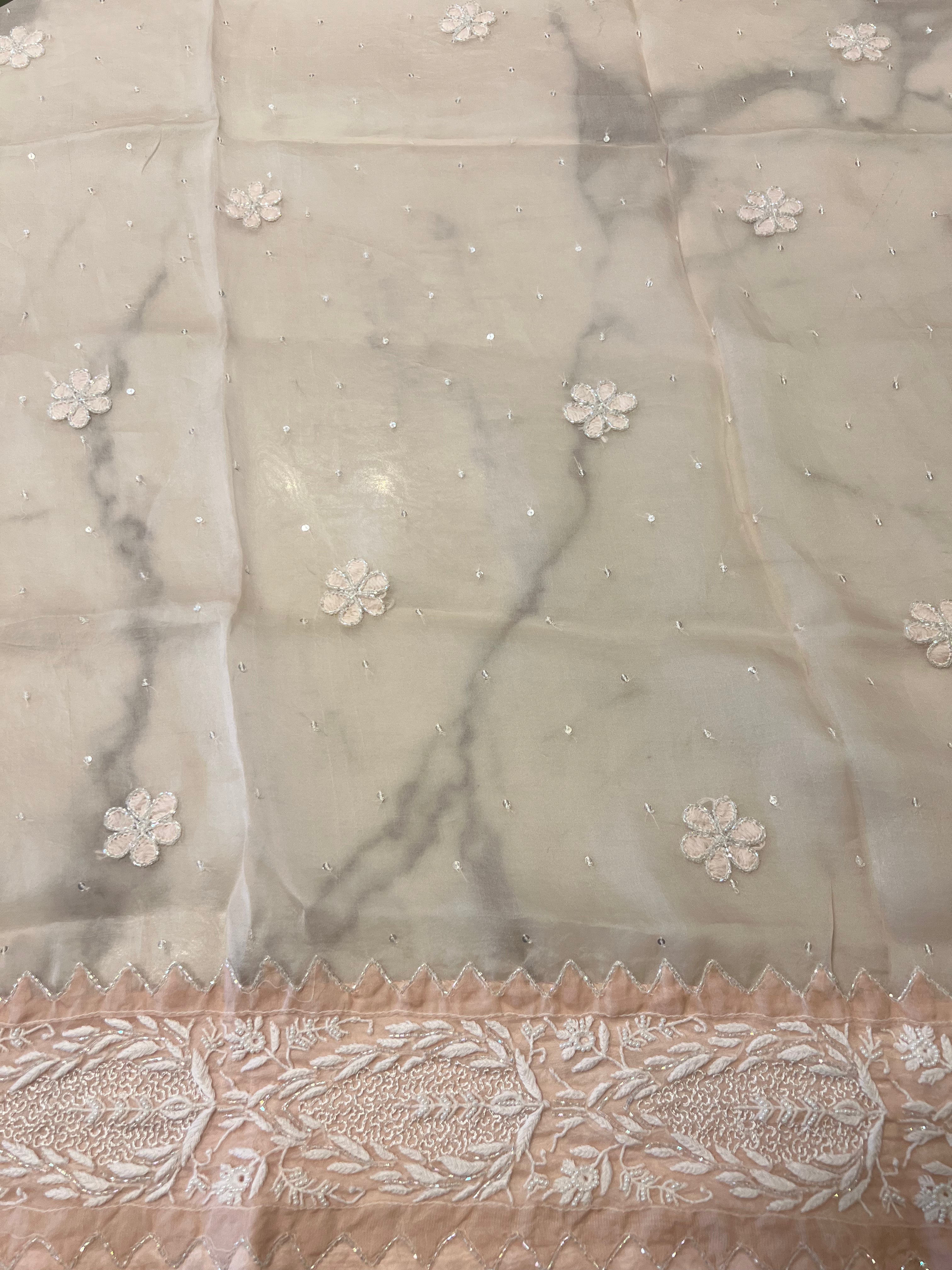 Blush Pink Organza Silk Chikankari Saree and Blouse - Pleats PleaseChikankari
