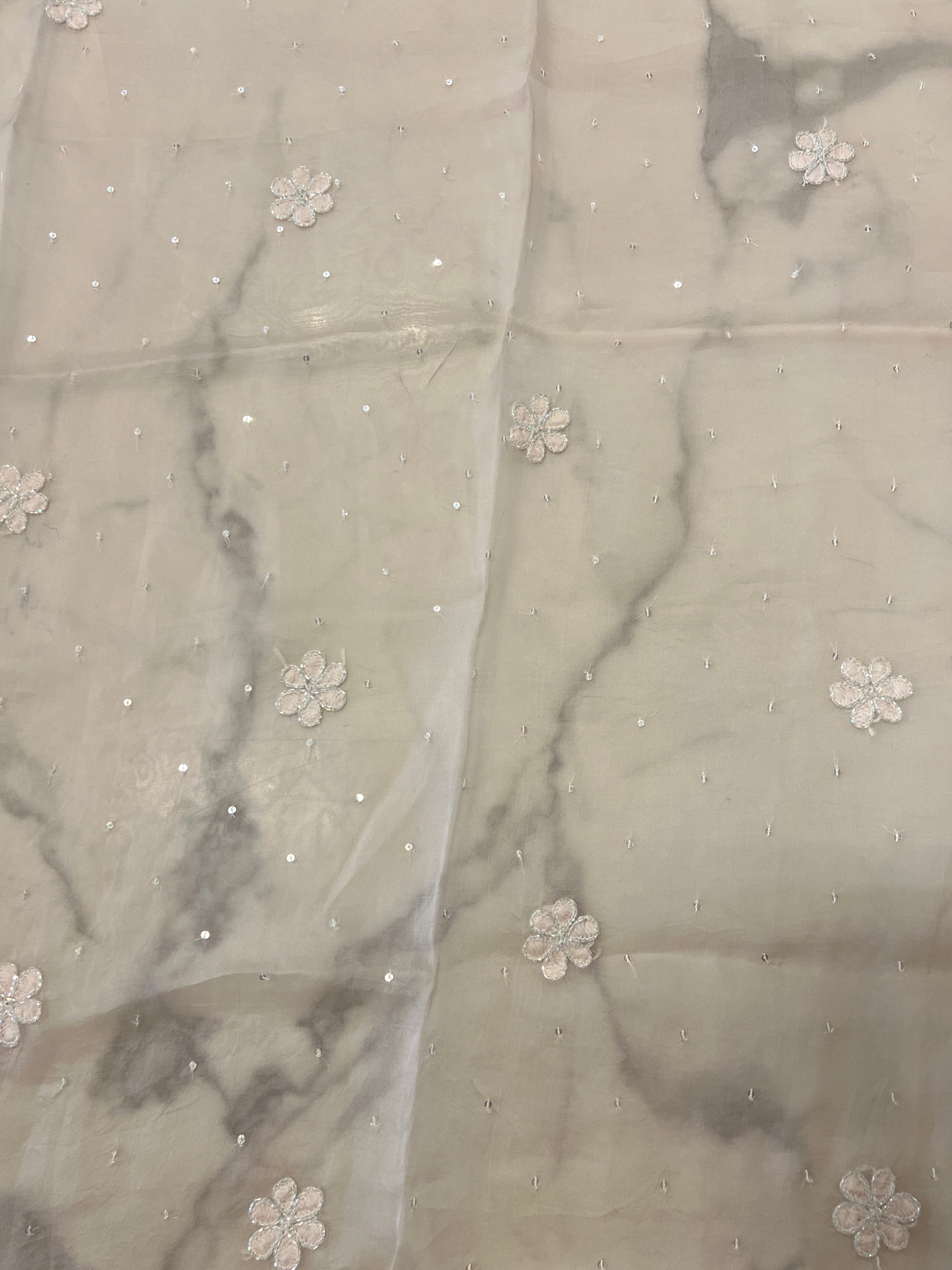 Blush Pink Organza Silk Chikankari Saree and Blouse - Pleats PleaseChikankari
