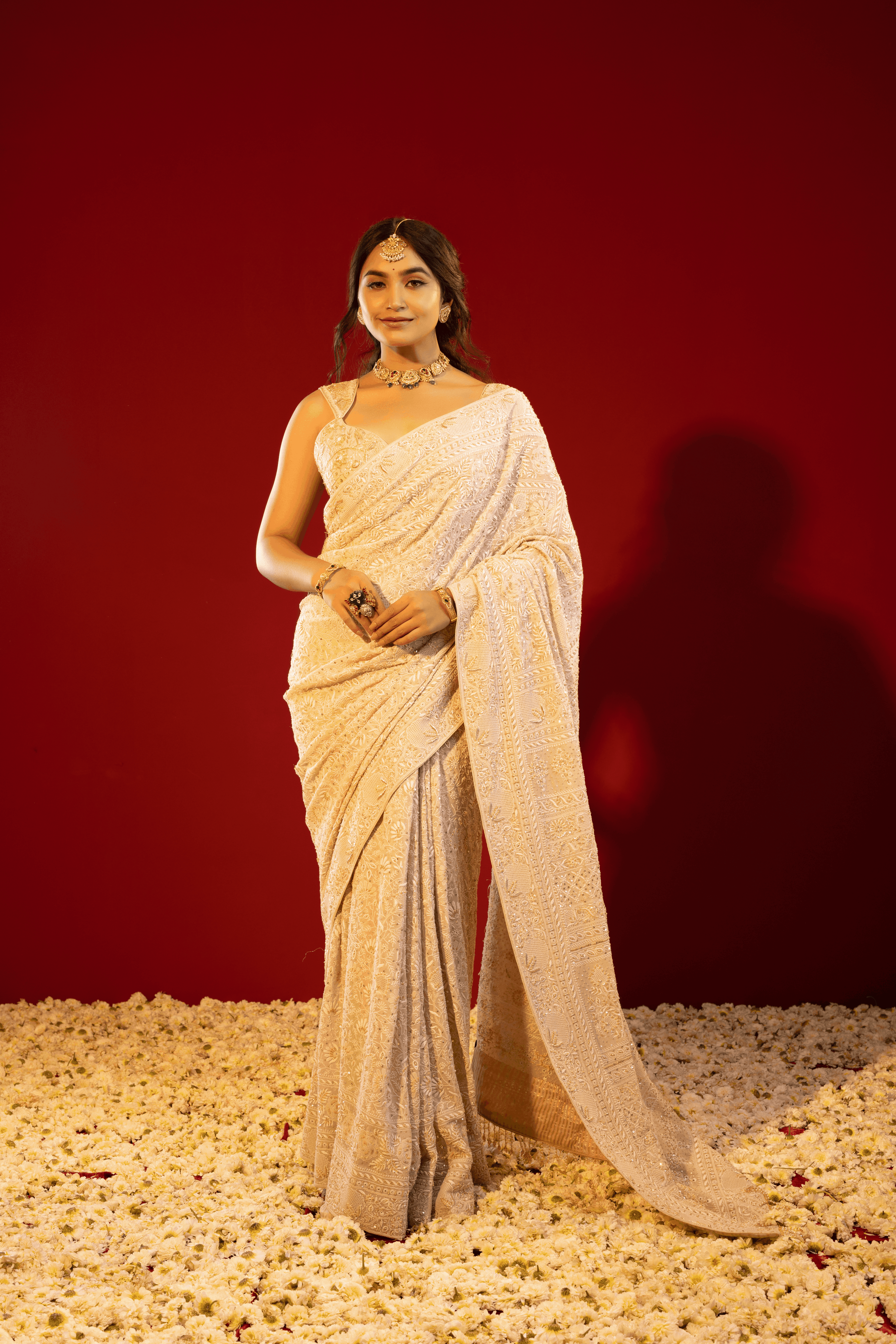 Brown Pure and Premium Georgette Chikankari Saree And Blouse.