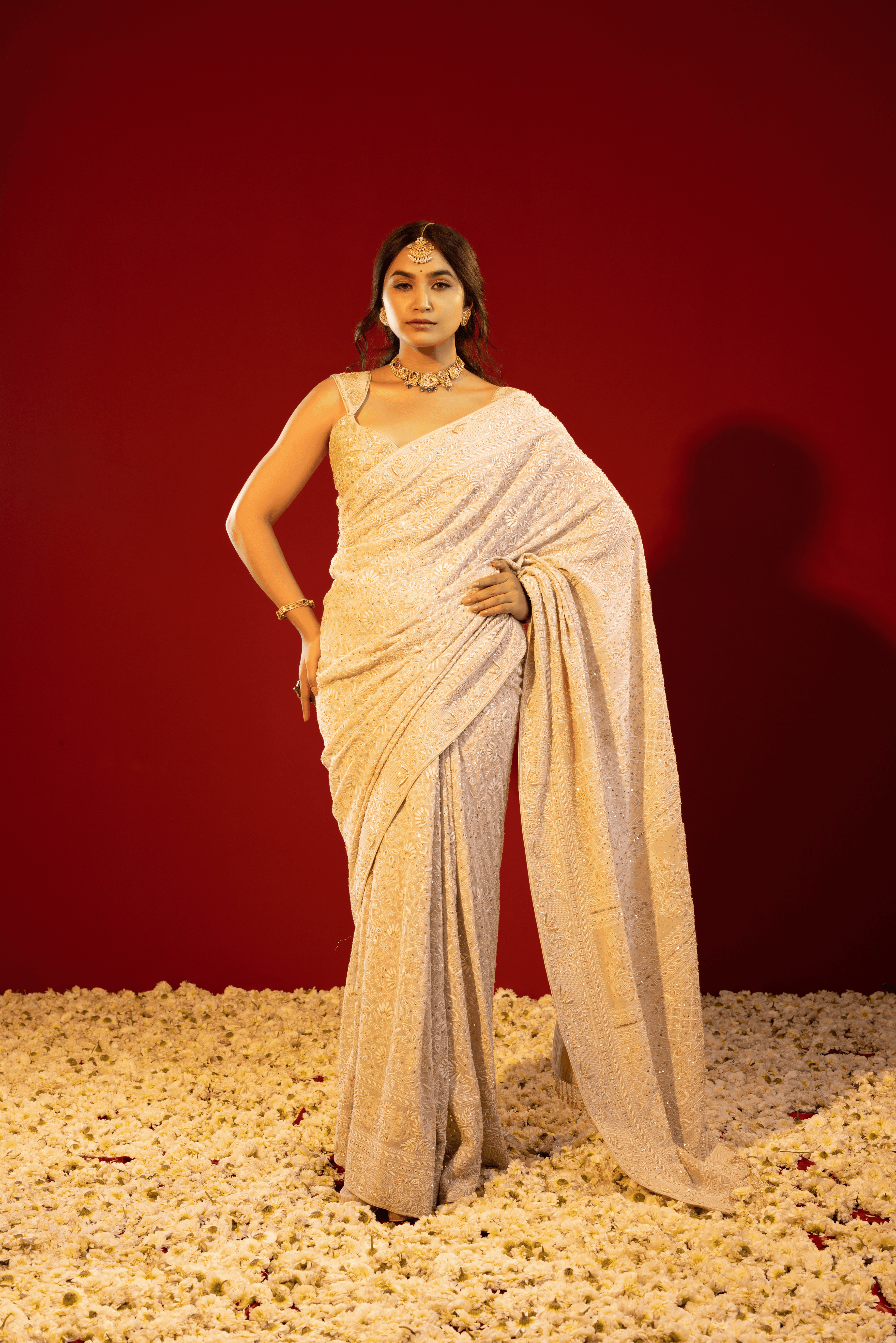 Brown Pure and Premium Georgette Chikankari Saree And Blouse.