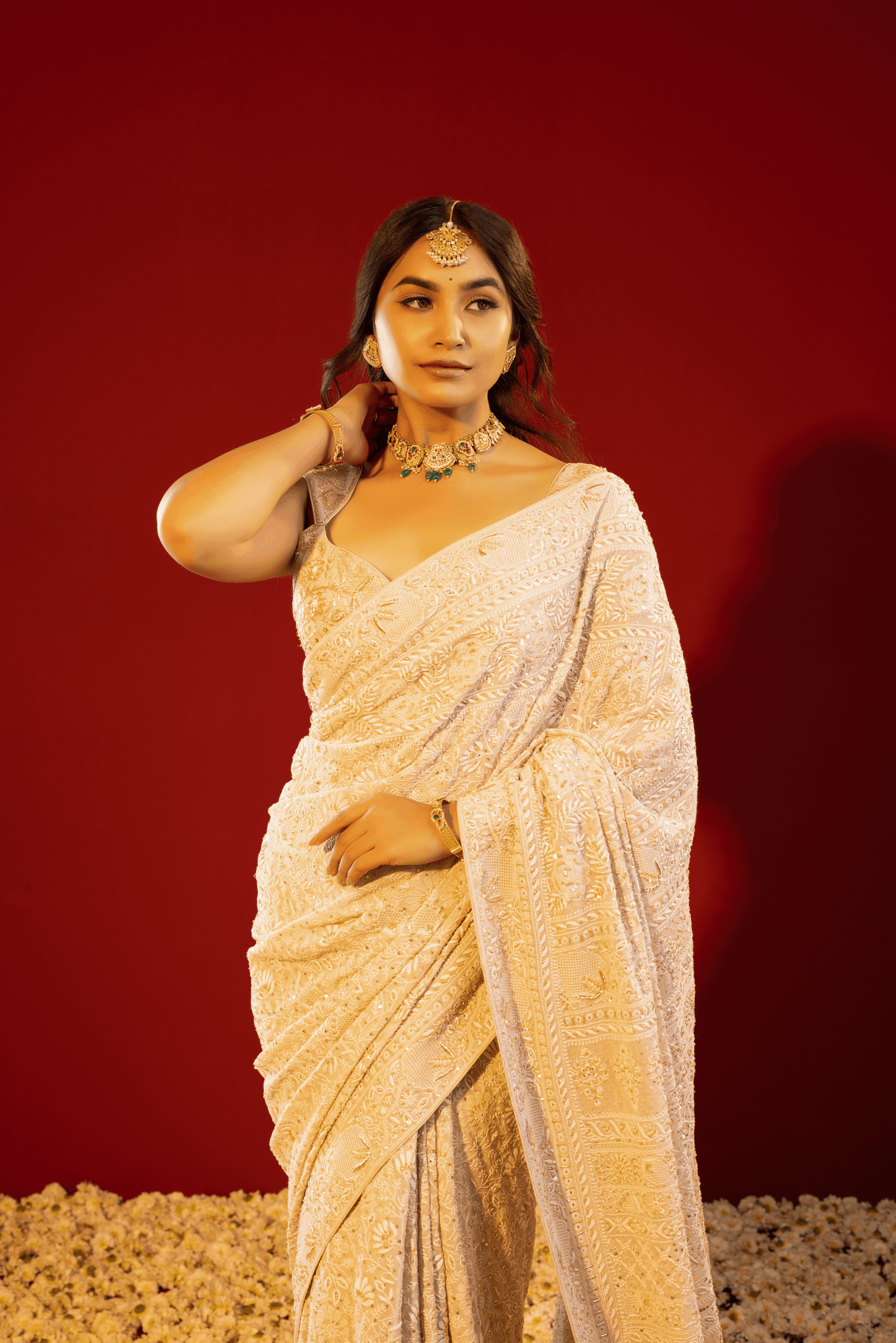 Brown Pure and Premium Georgette Chikankari Saree And Blouse.