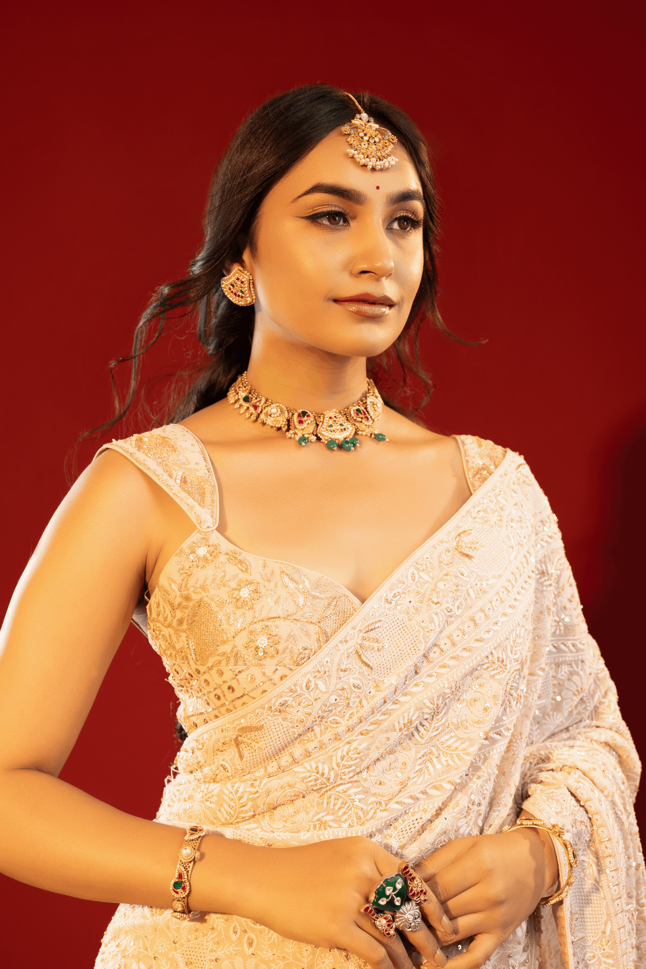 Brown Pure and Premium Georgette Chikankari Saree And Blouse.