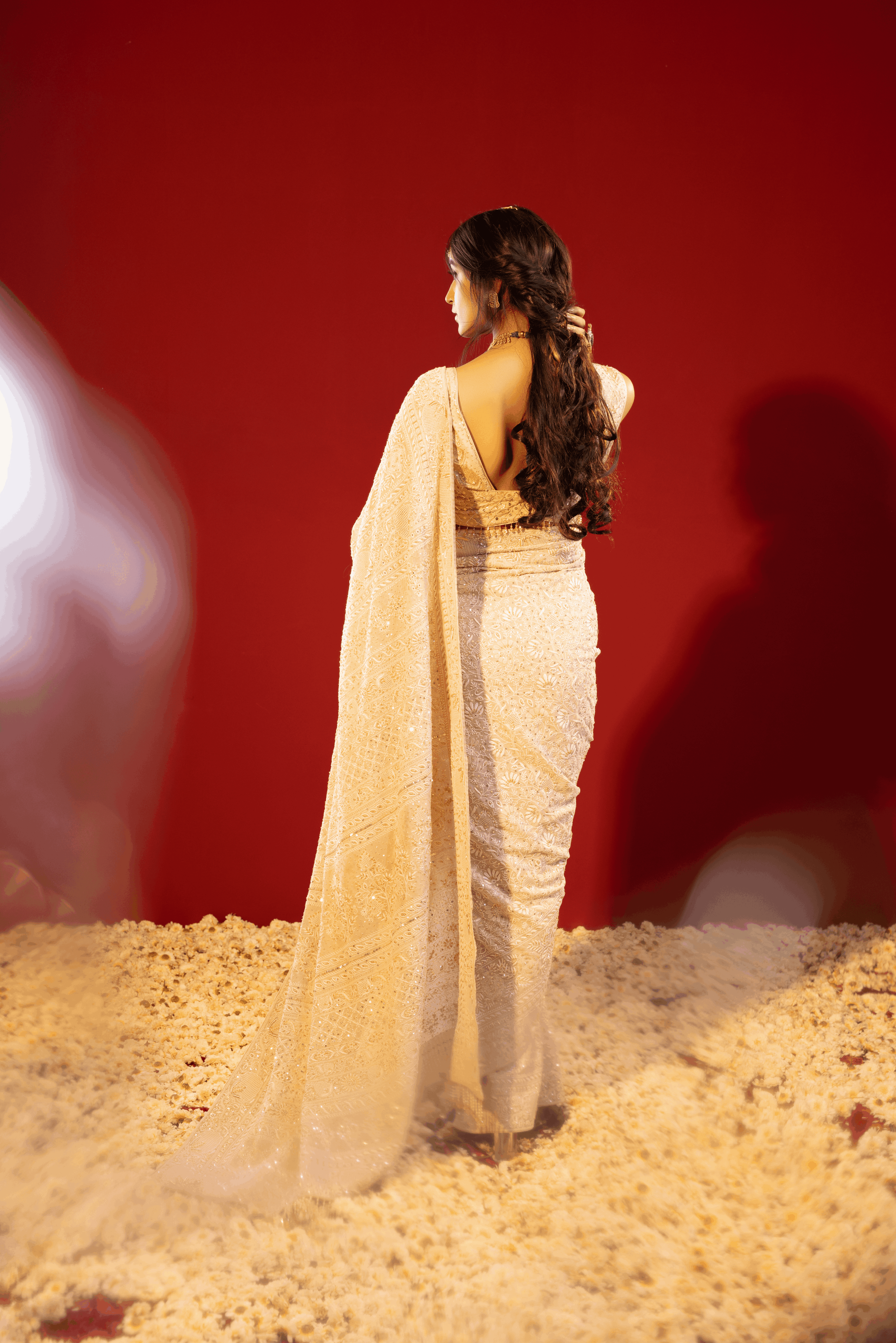 Brown Pure and Premium Georgette Chikankari Saree And Blouse.