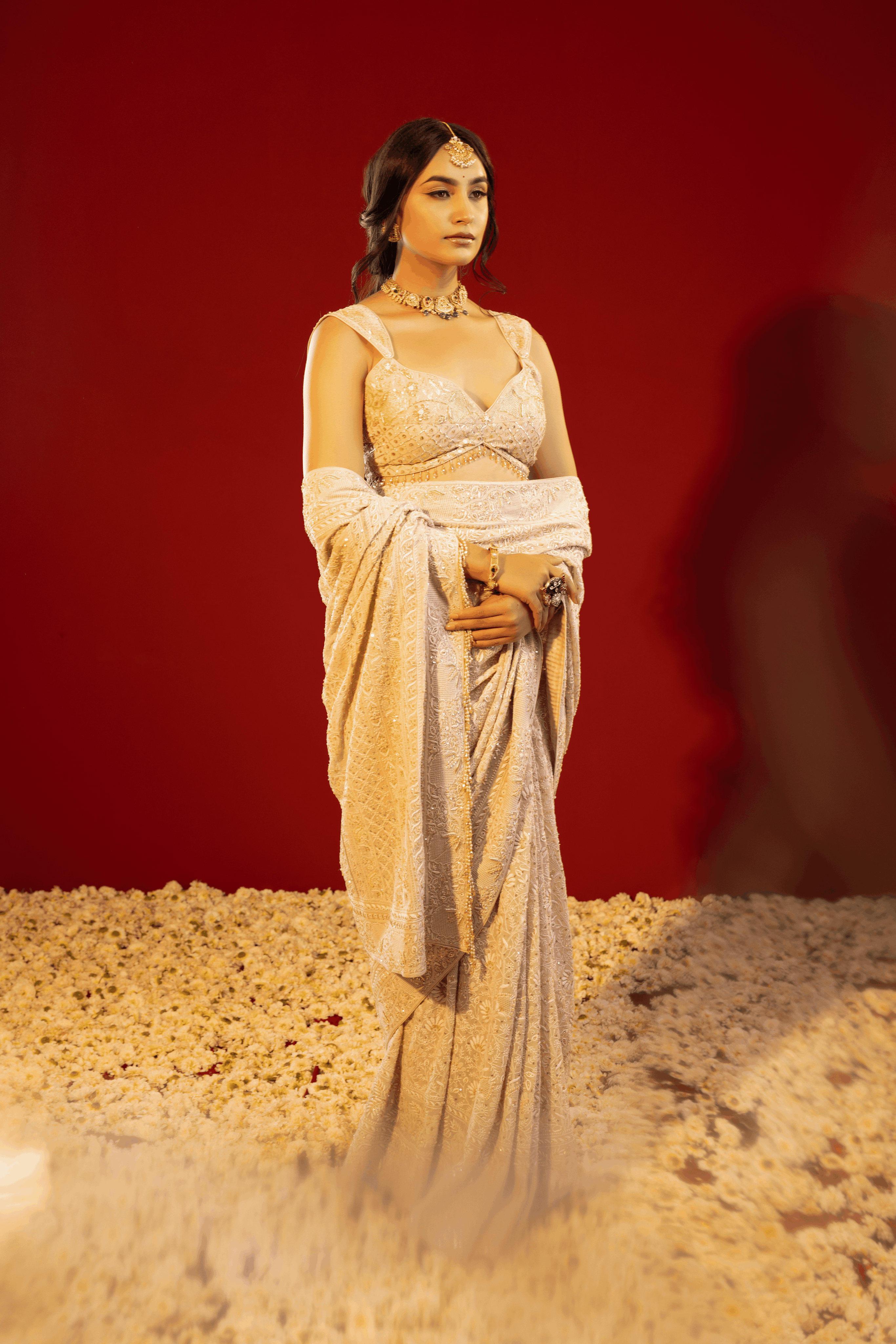 Brown Pure and Premium Georgette Chikankari Saree And Blouse.