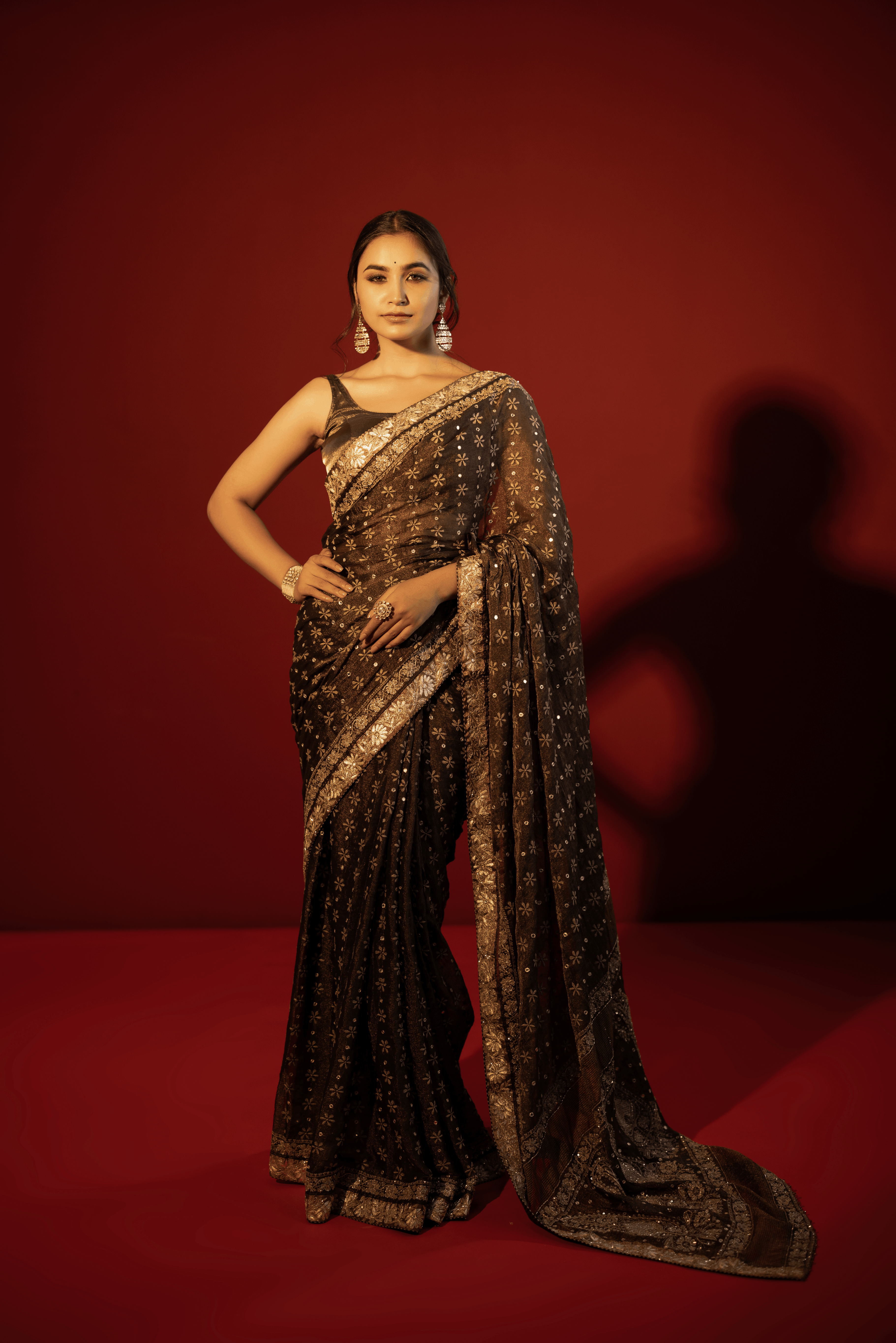 Black Pure Tissue Chikankari Saree