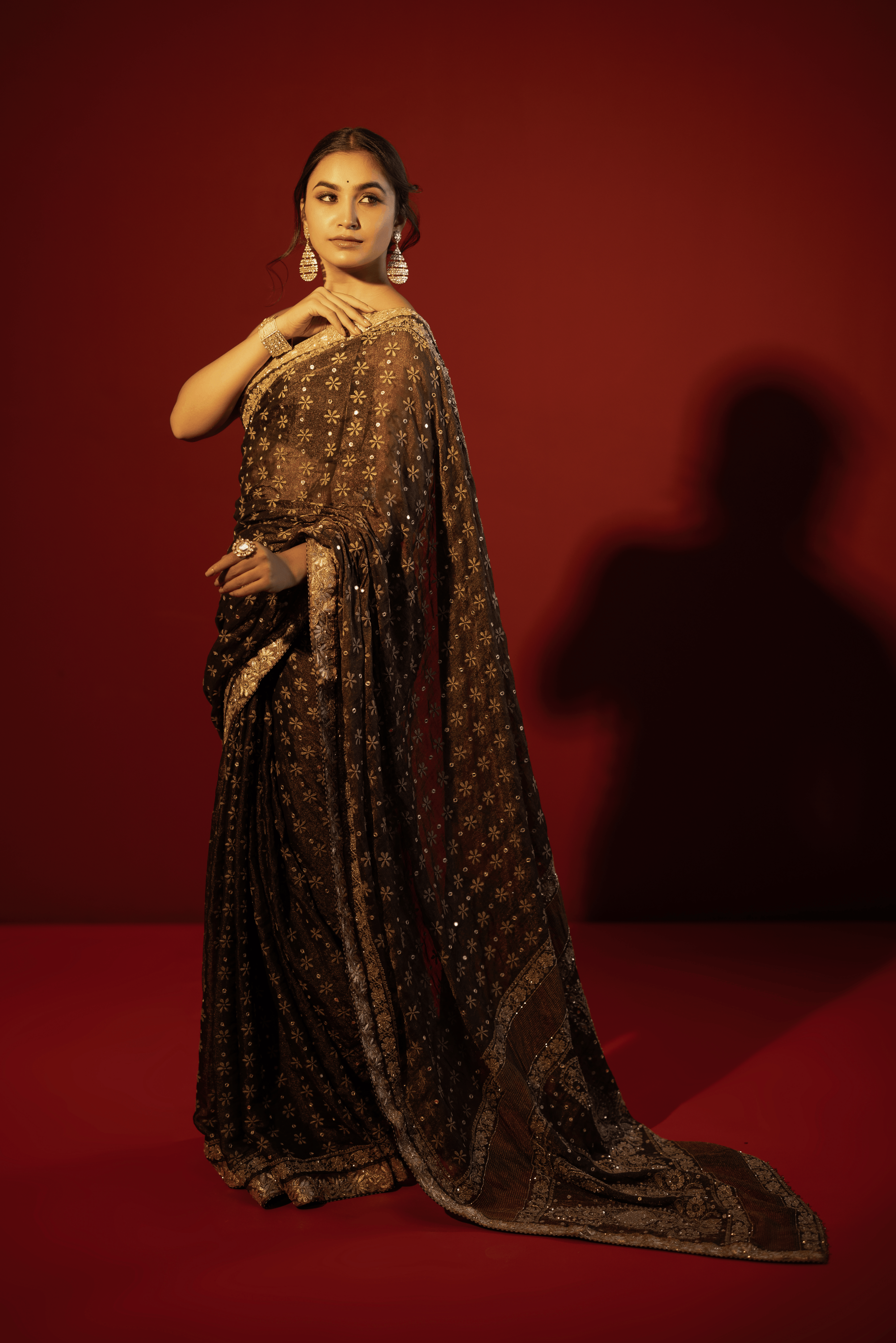 Black Pure Tissue Chikankari Saree